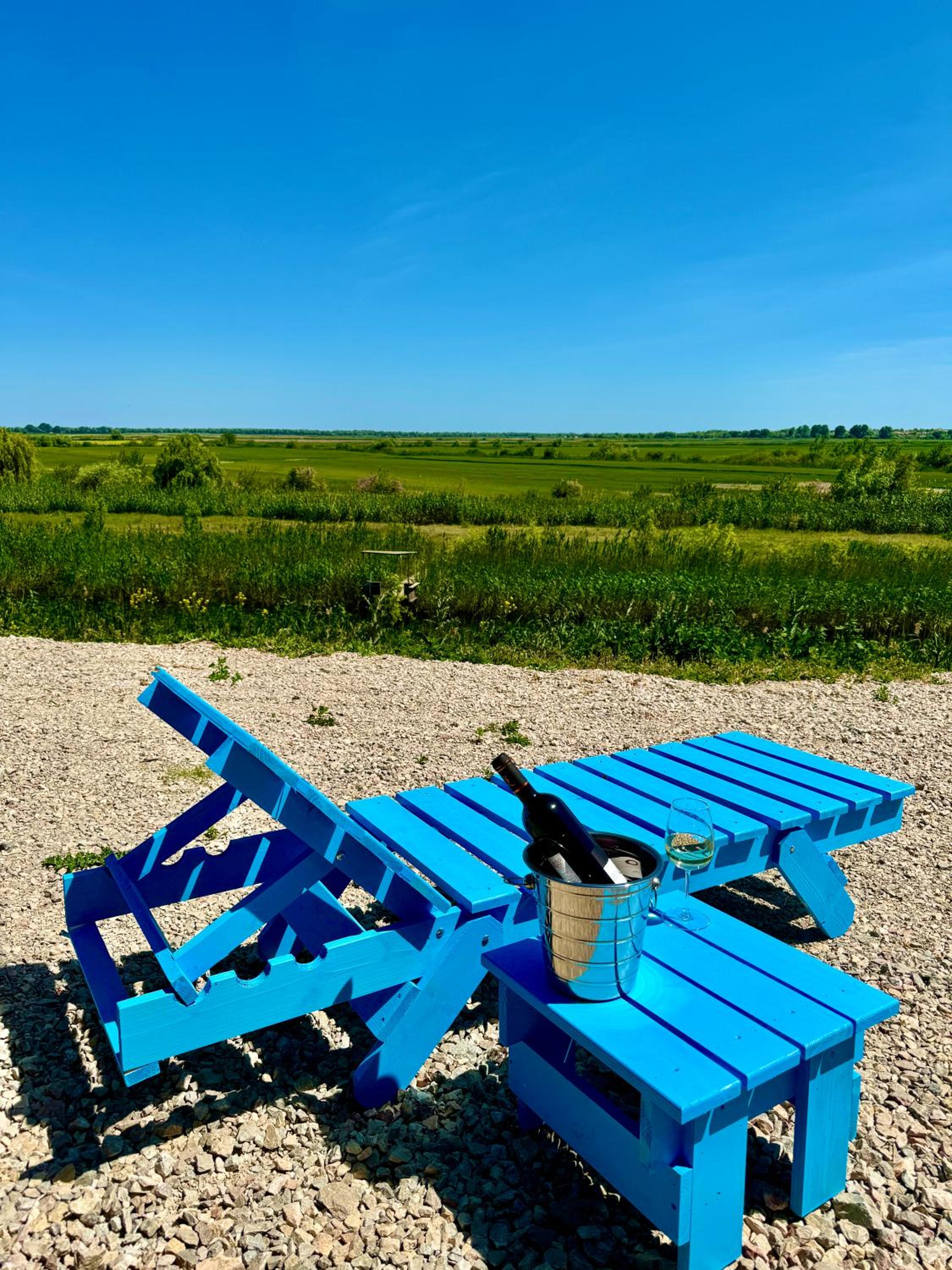 Danube Delta View
