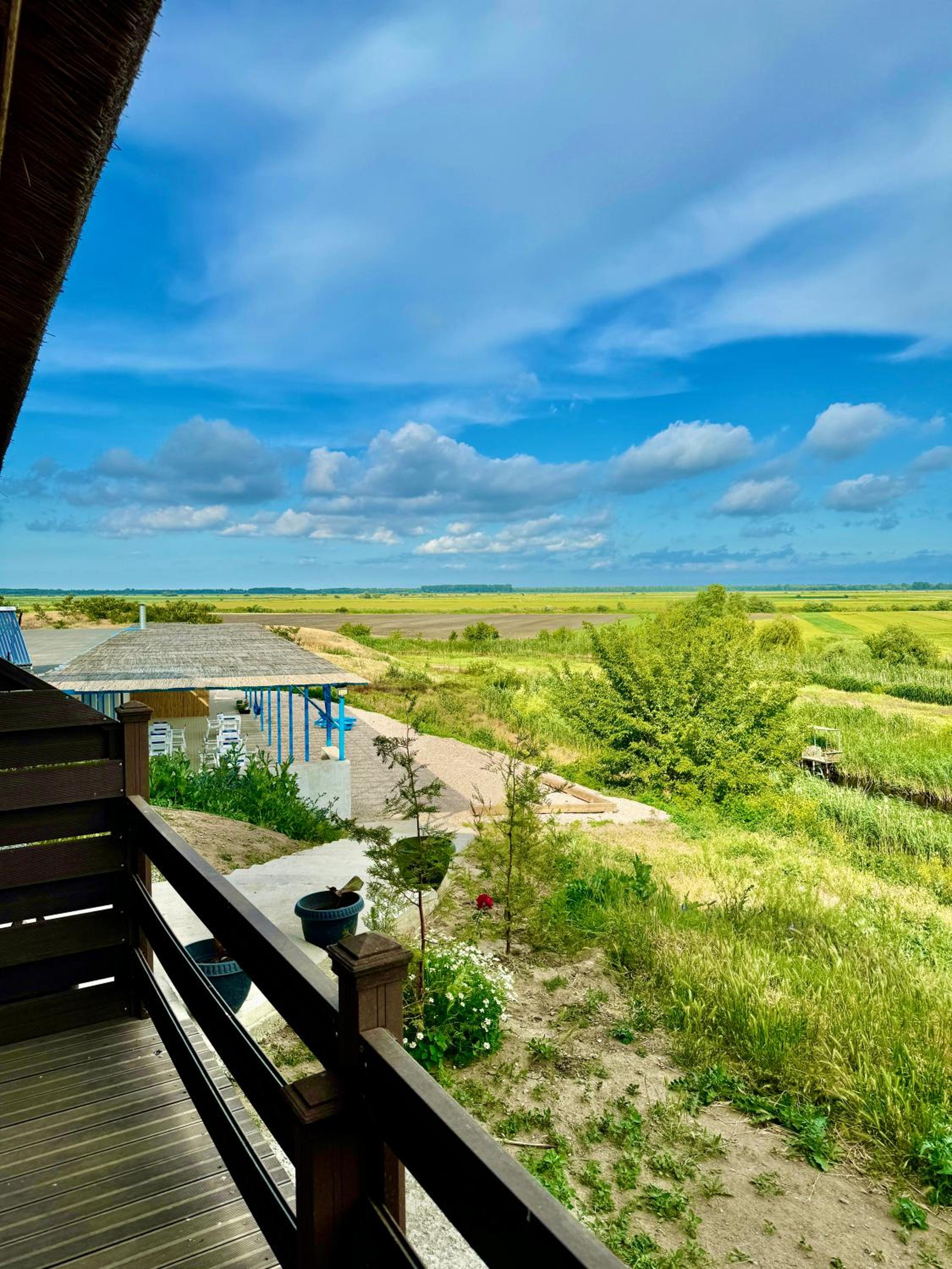 Danube Delta View