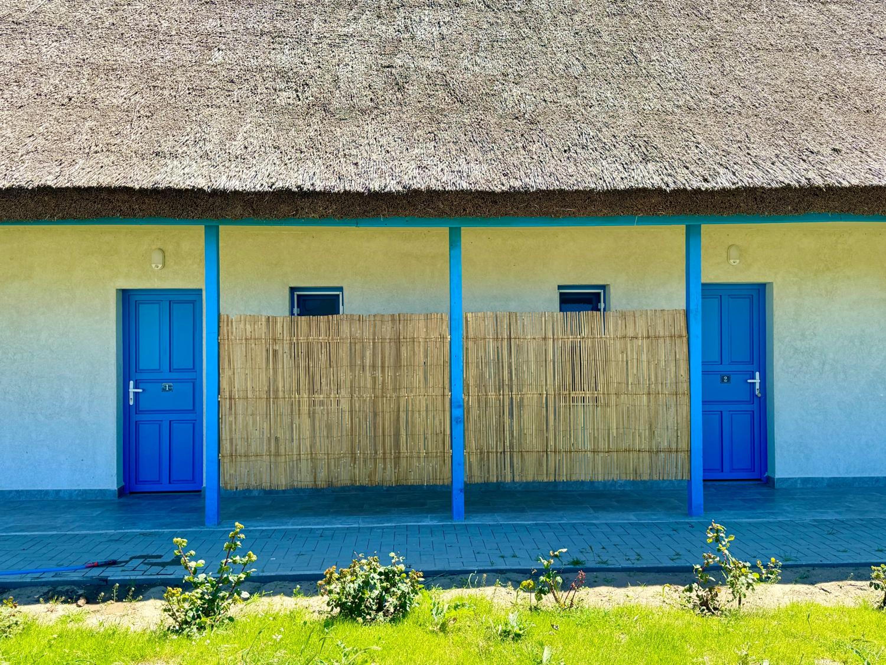 Danube Delta View