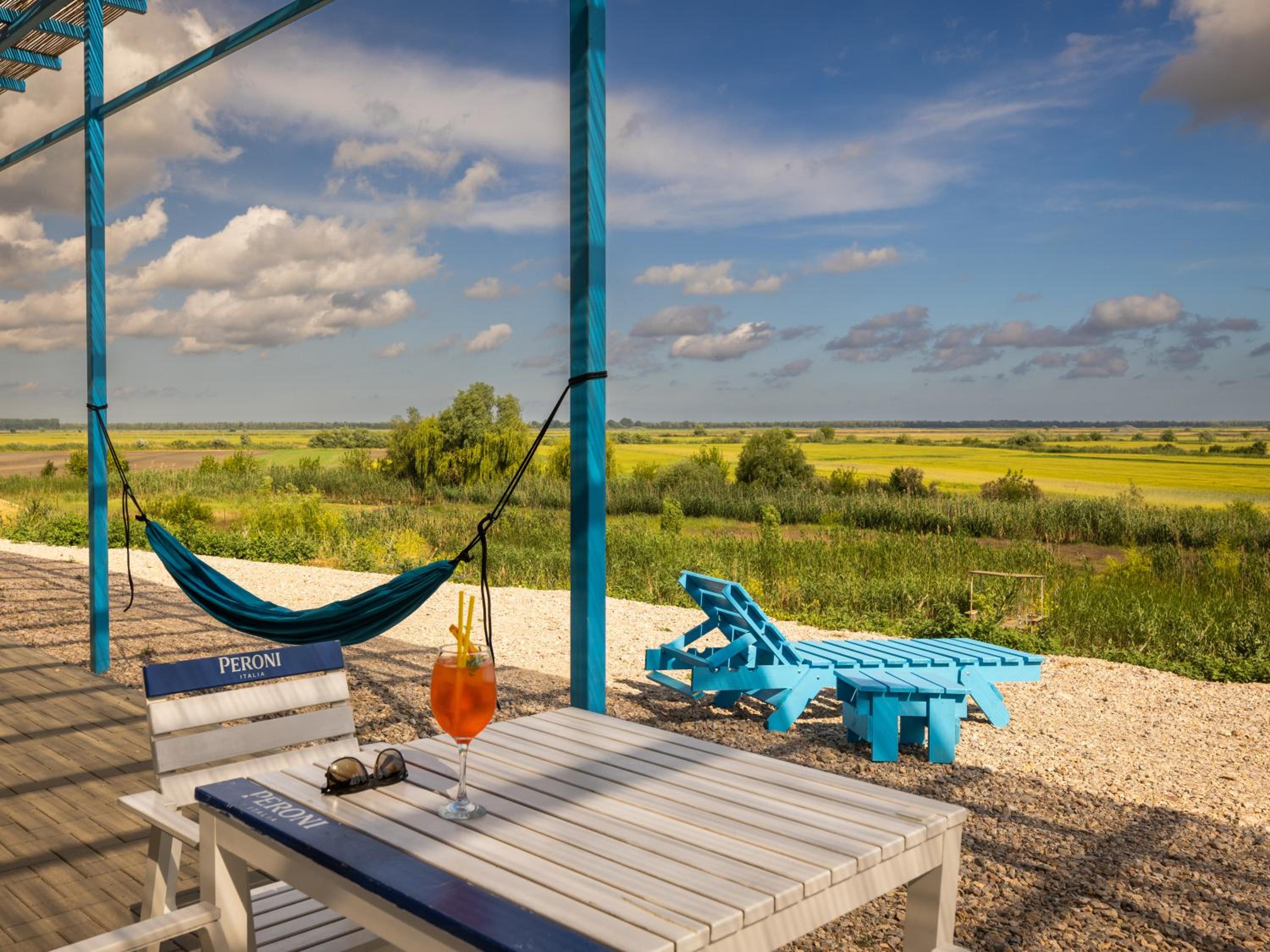 Danube Delta View