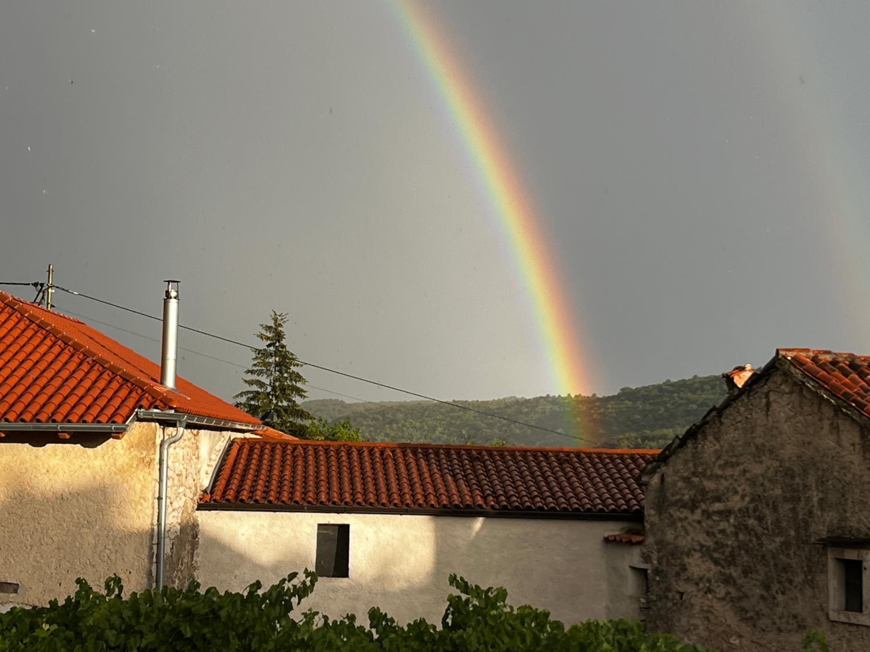 Vila Kobdilj 1835 - Unique Stay in Karst Stone Villa
