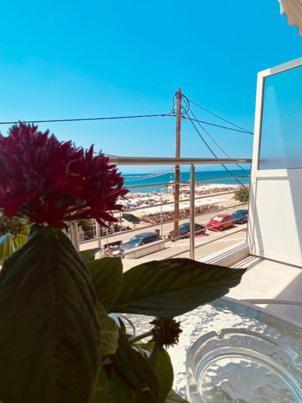 Sea view apartment2 photo 3