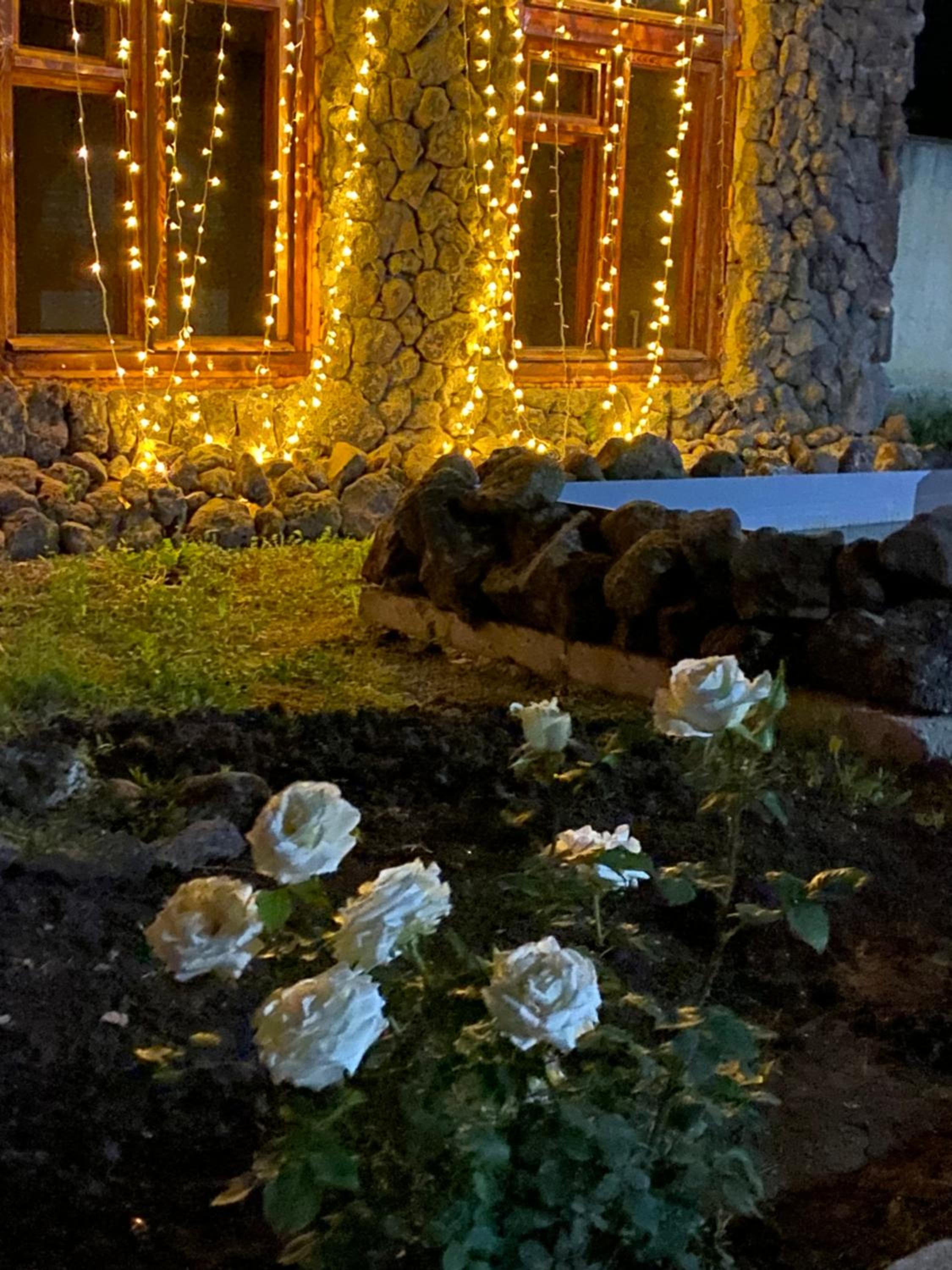 Yan Guest House