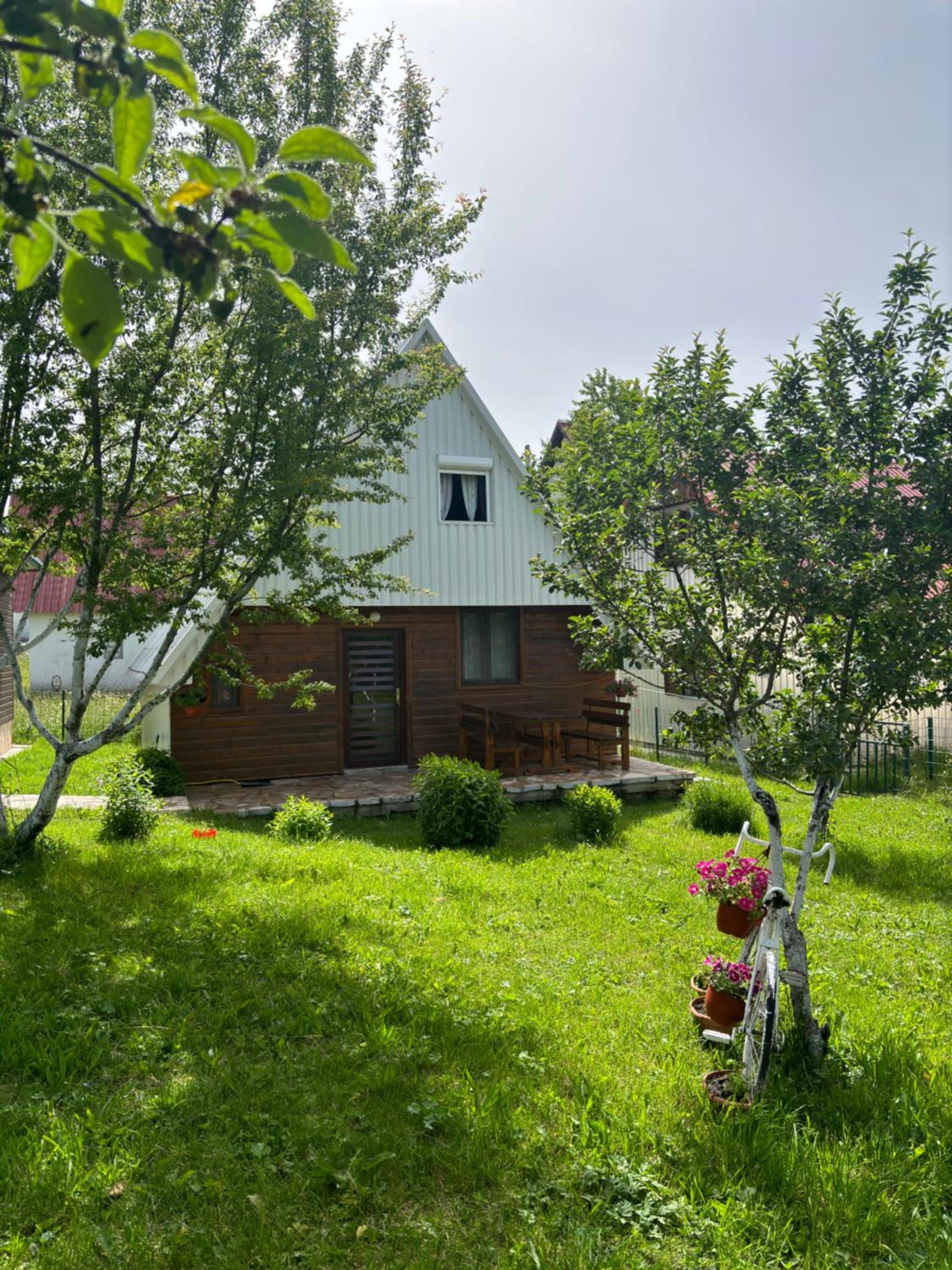 Photo 8
