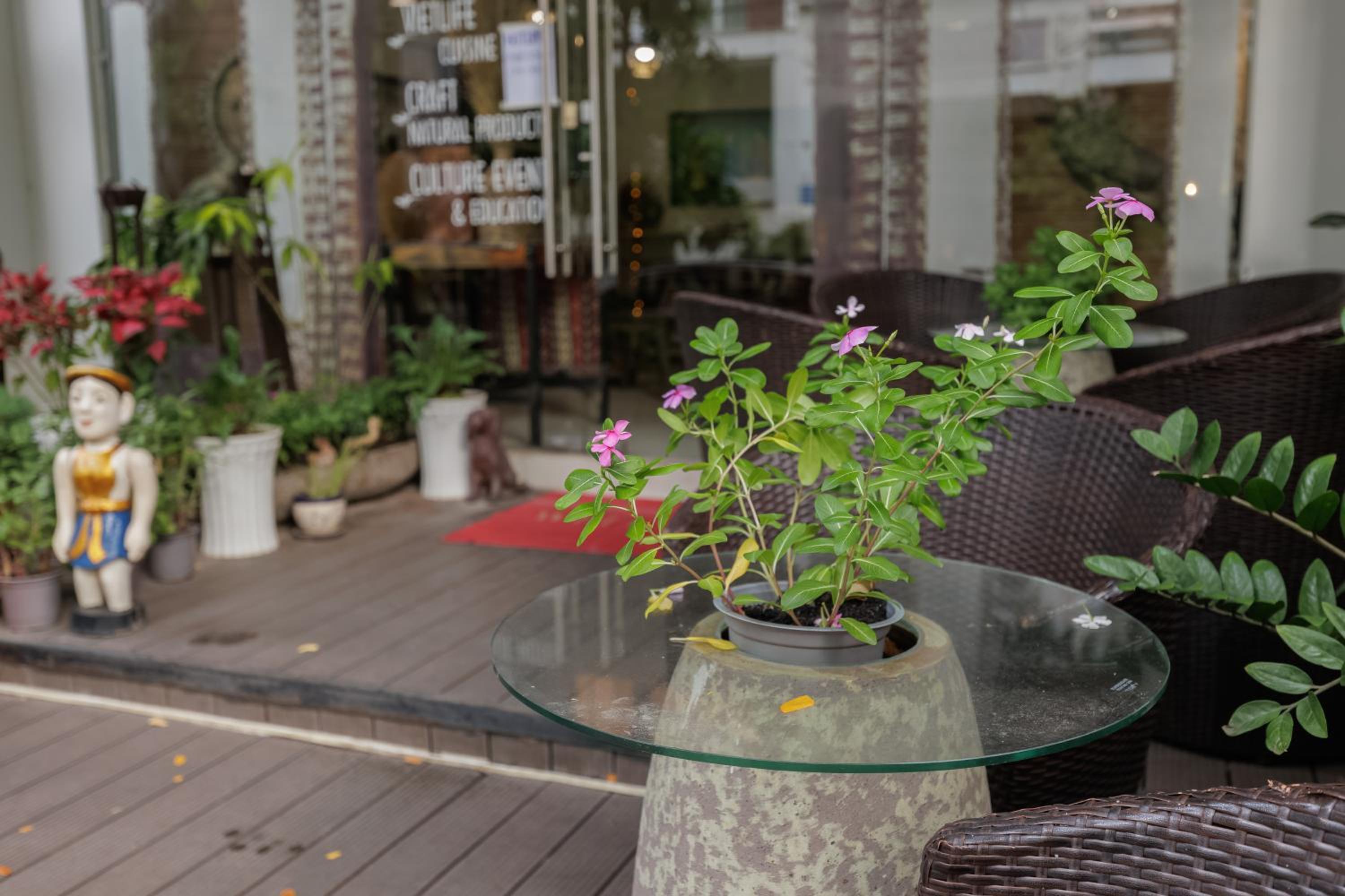 VIETLIFE Hotel & Apartment - Free Cinema