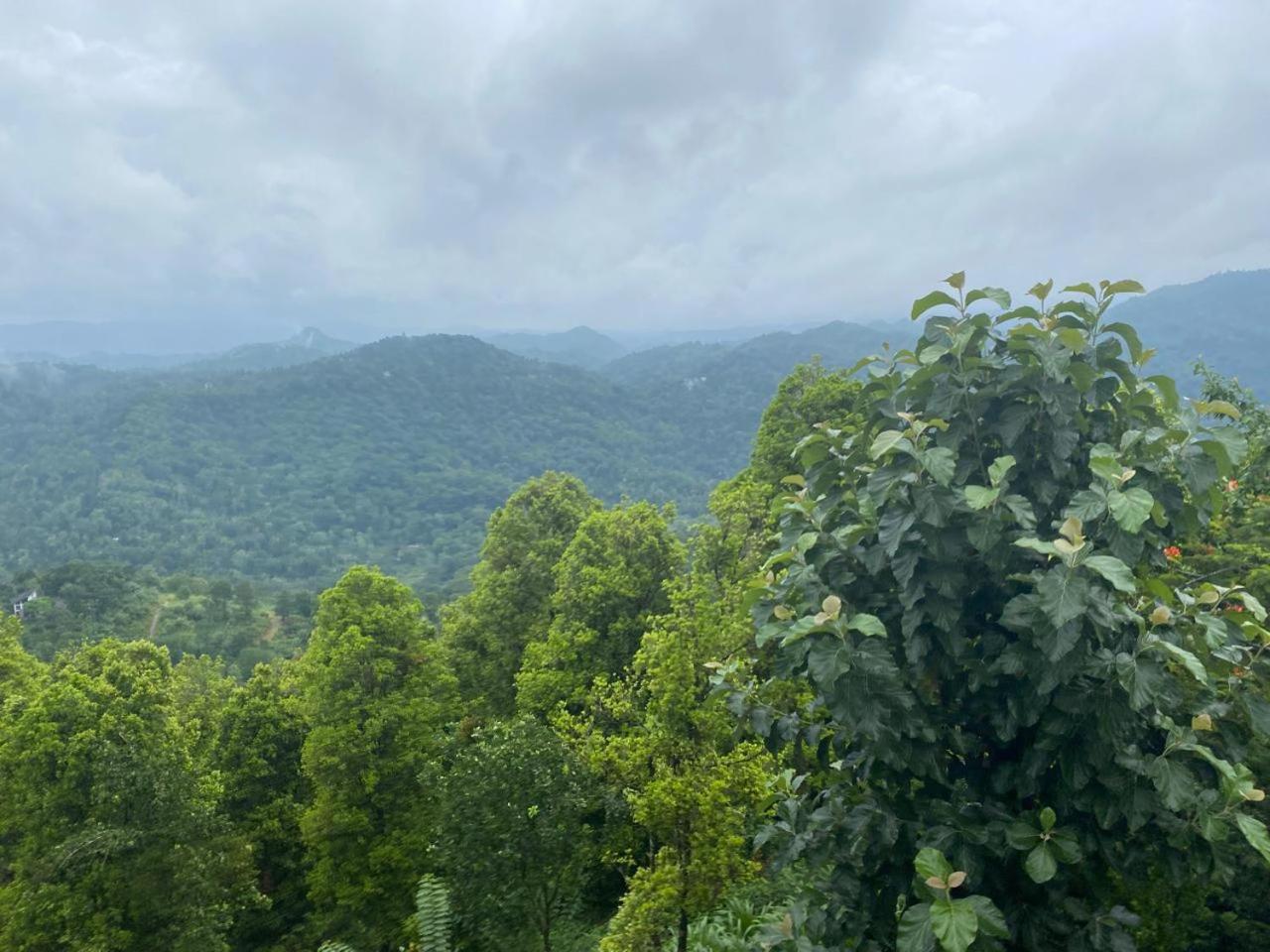 Hillside Getaway