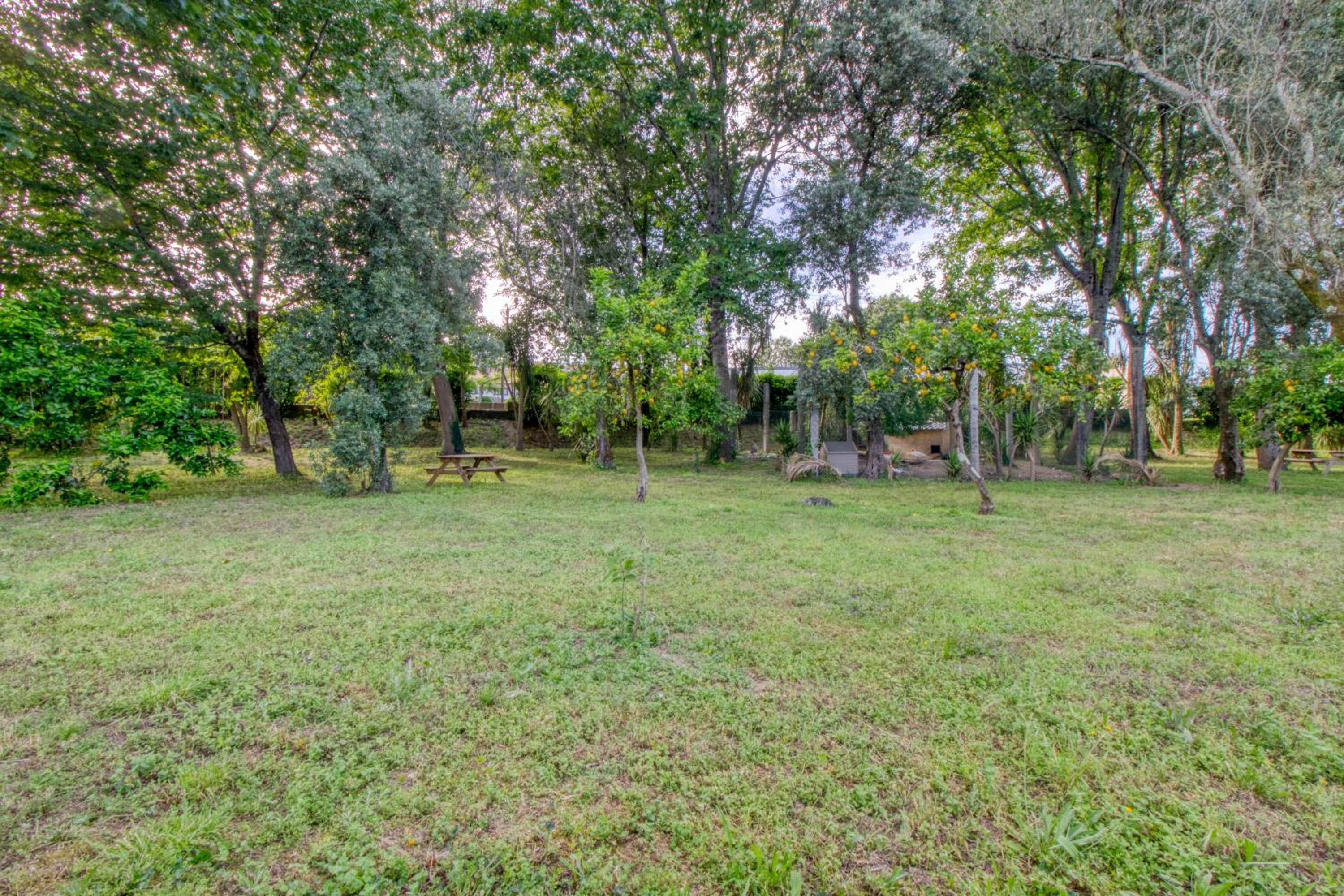 Quinta Do Pomar Pomar Farm