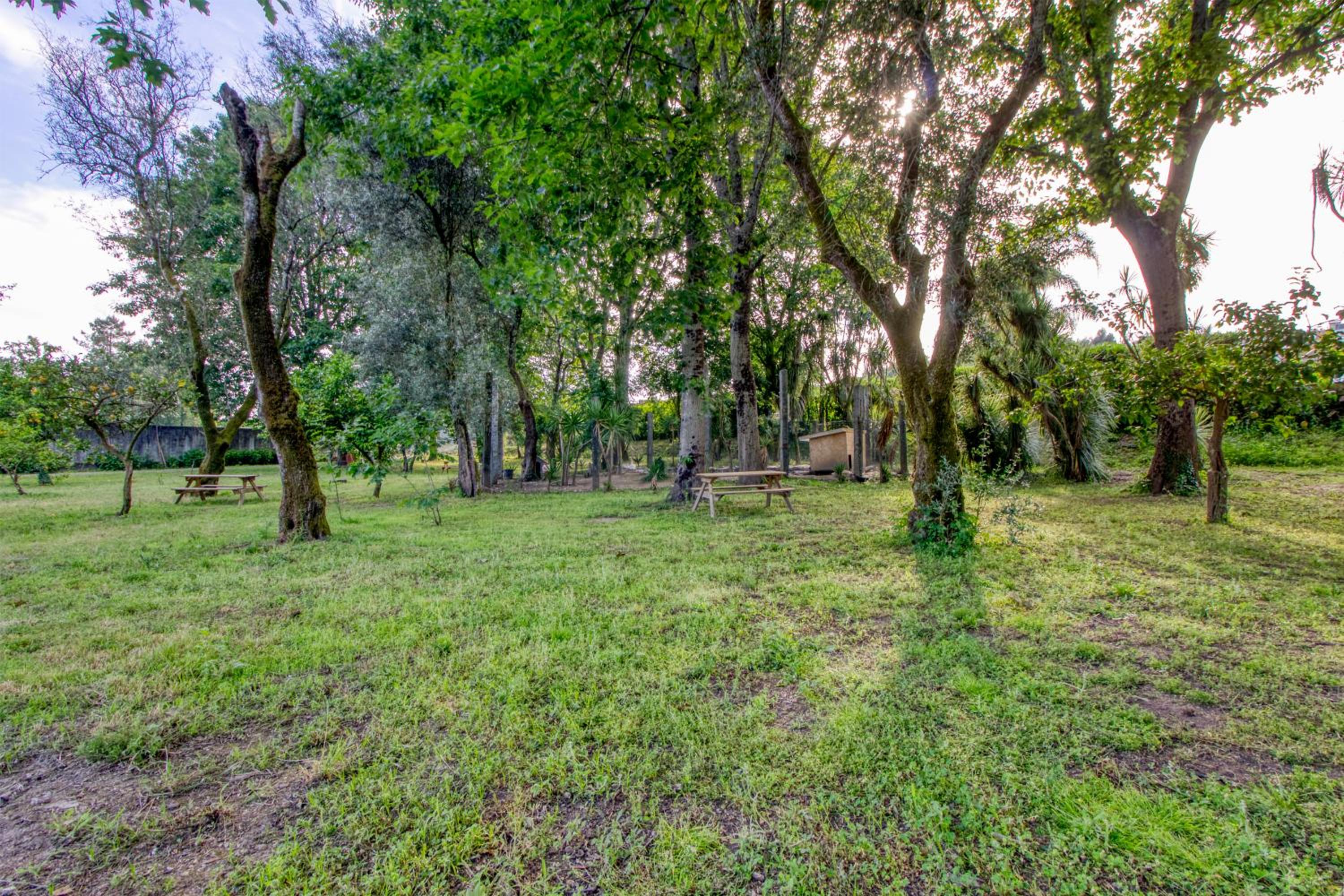 Quinta Do Pomar Pomar Farm