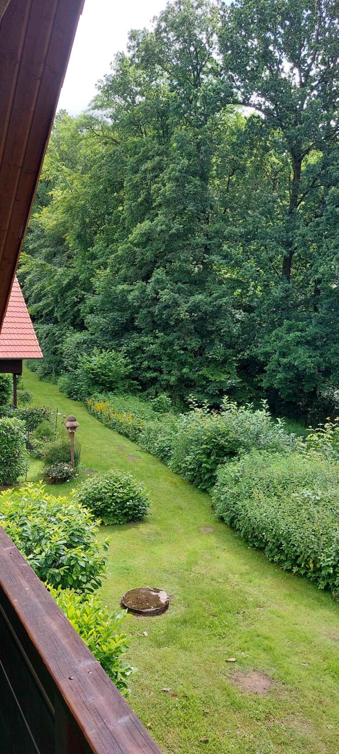 Scharbeutz Waldblick