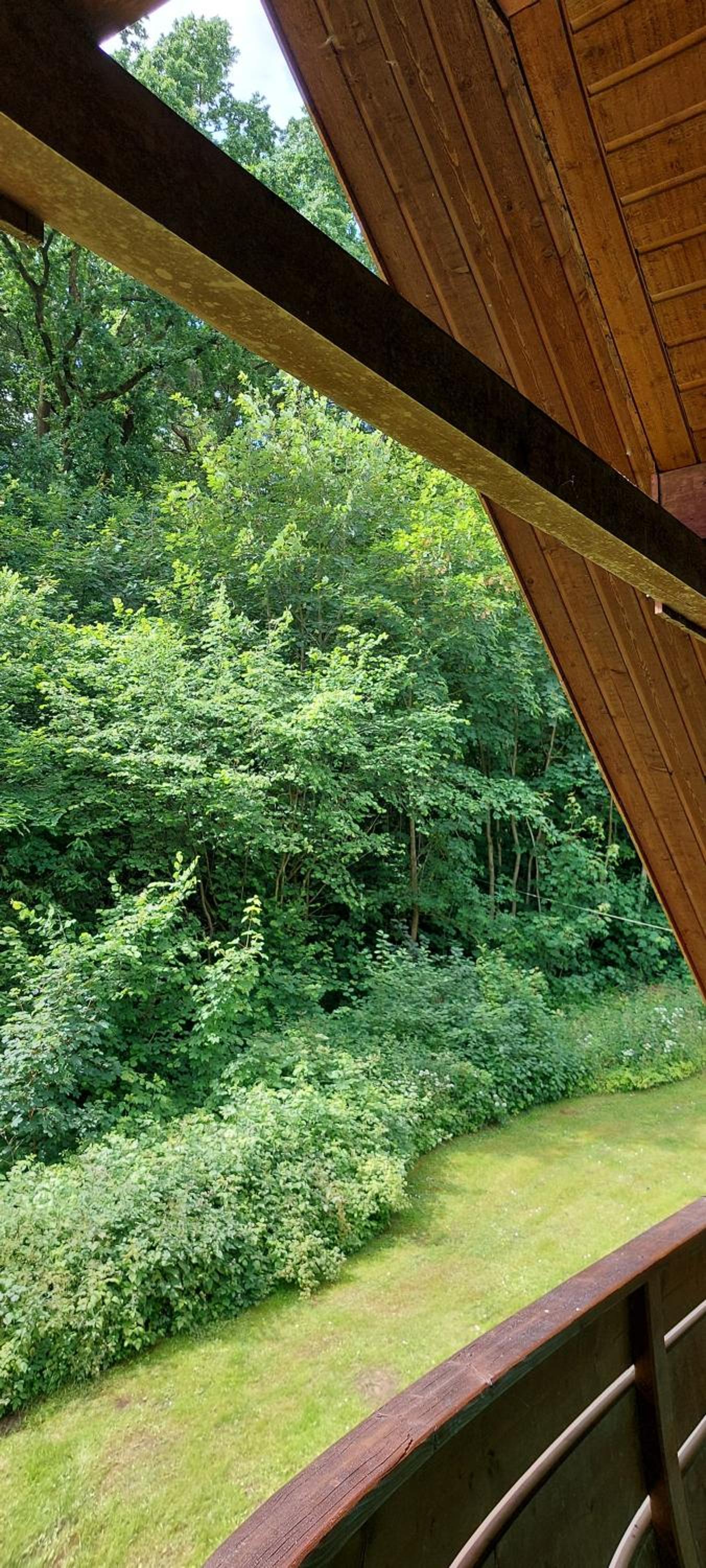 Scharbeutz Waldblick