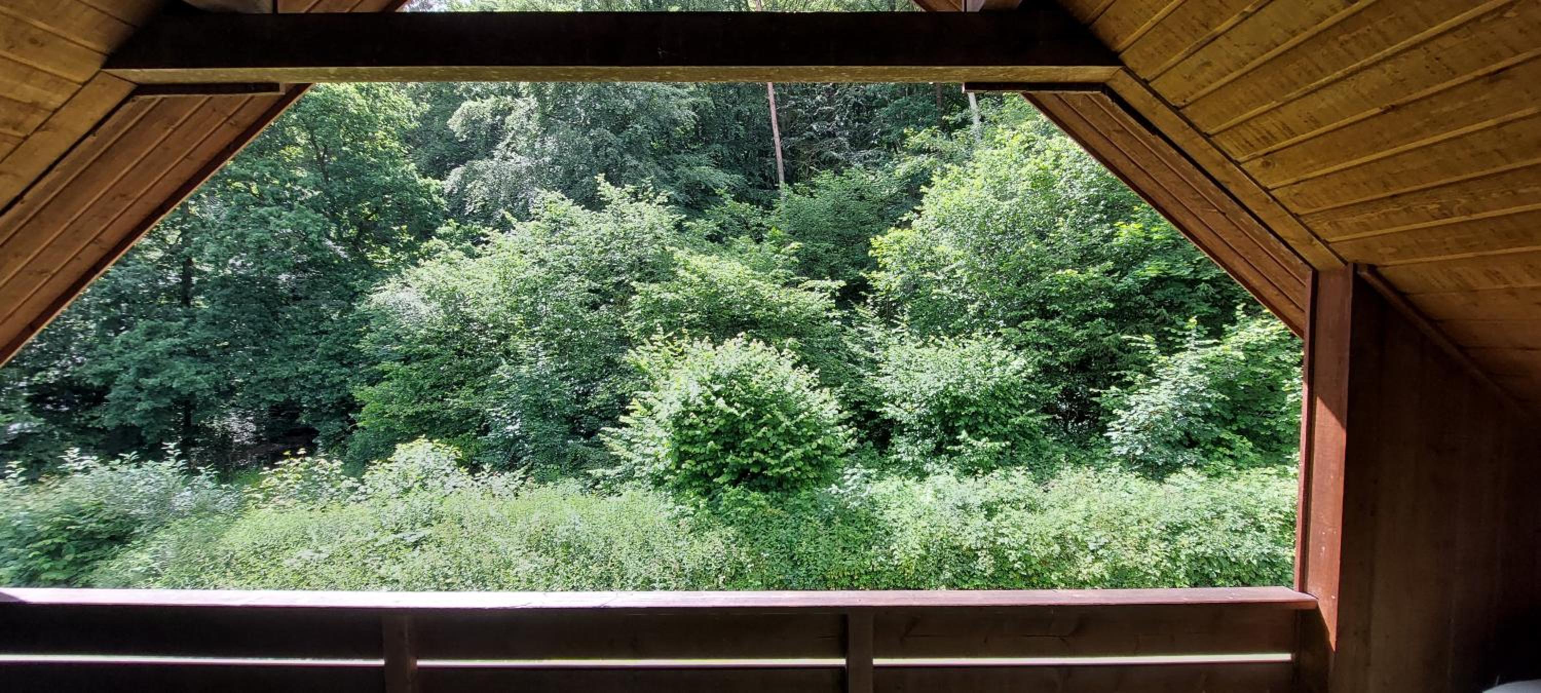 Scharbeutz Waldblick