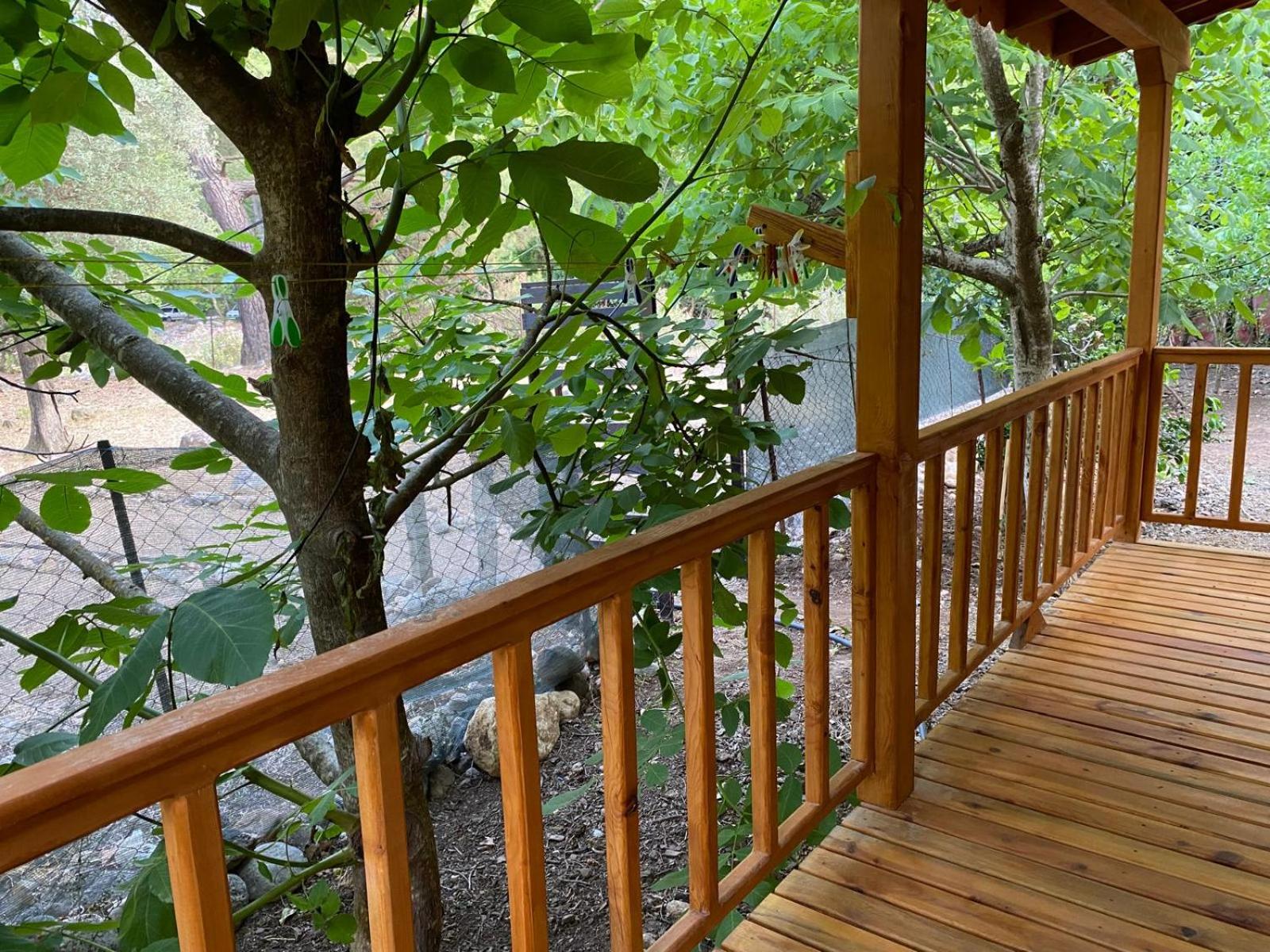 Canario Bungalows