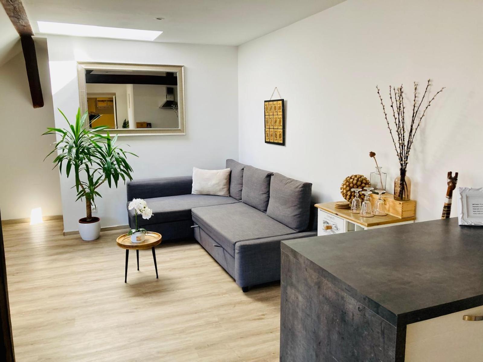 VIP Apartment in Old Town with free parking view 2