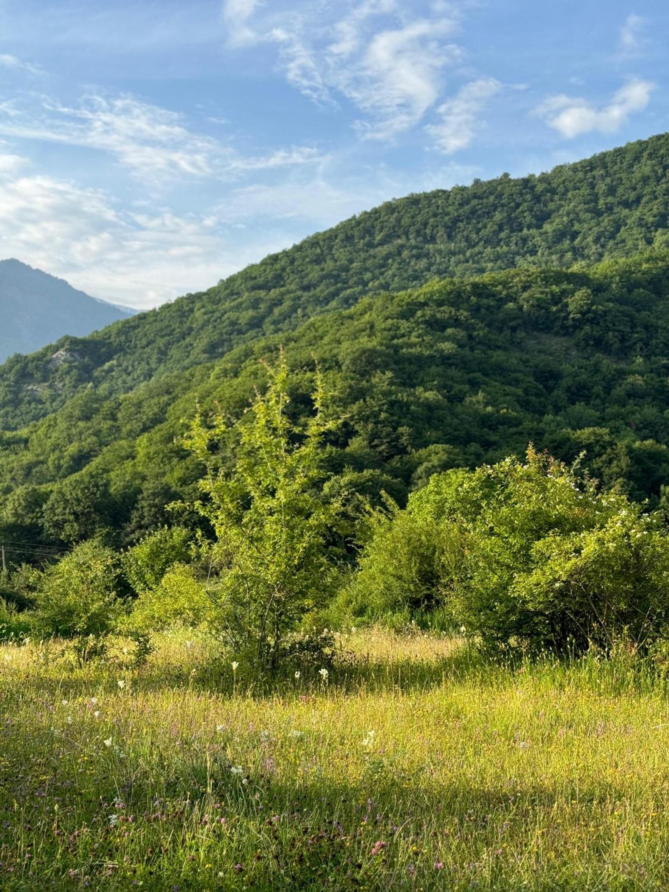 Oğuz rayon,Baş Daşağıl kəndi