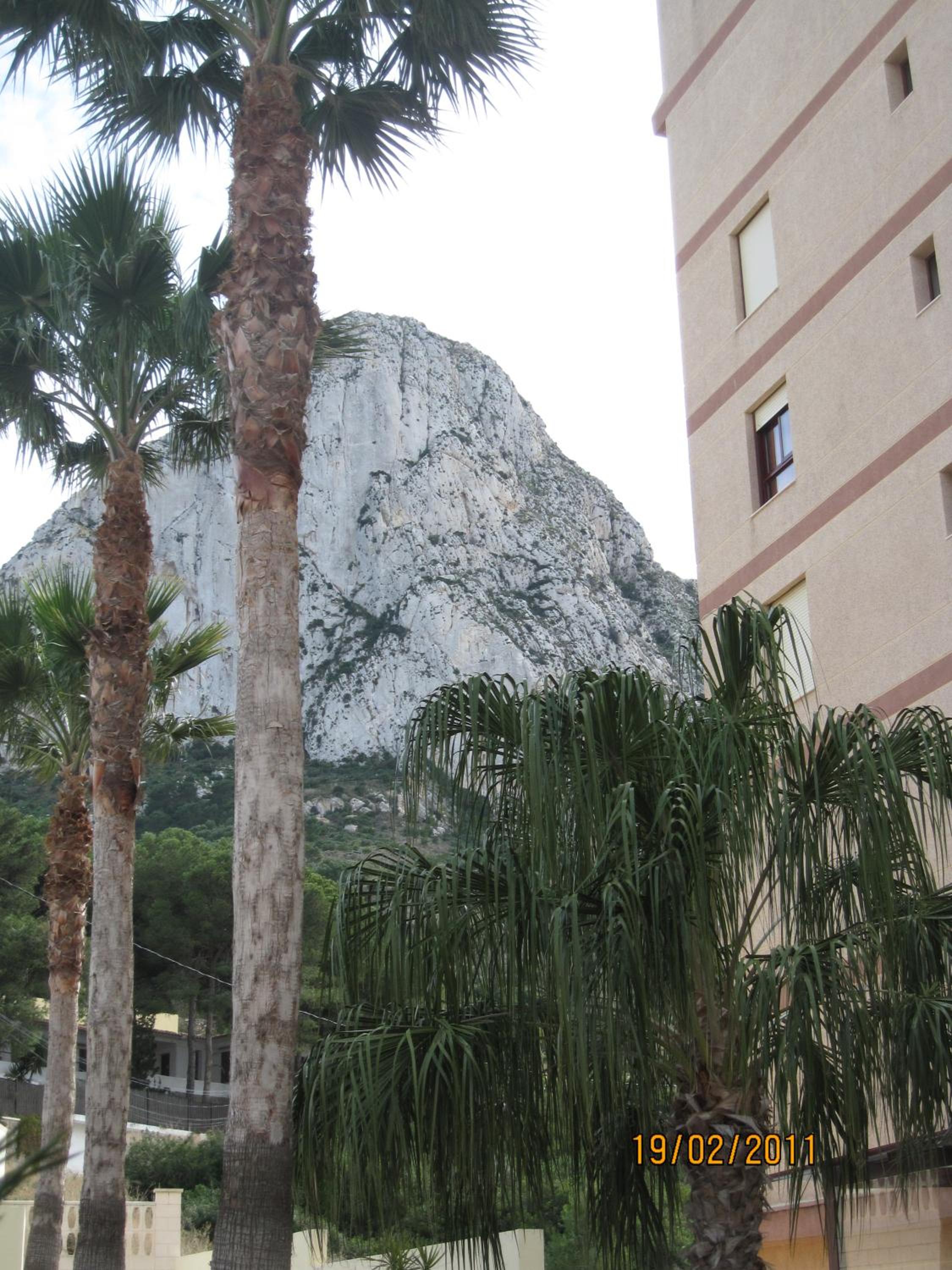 Casa Rosa