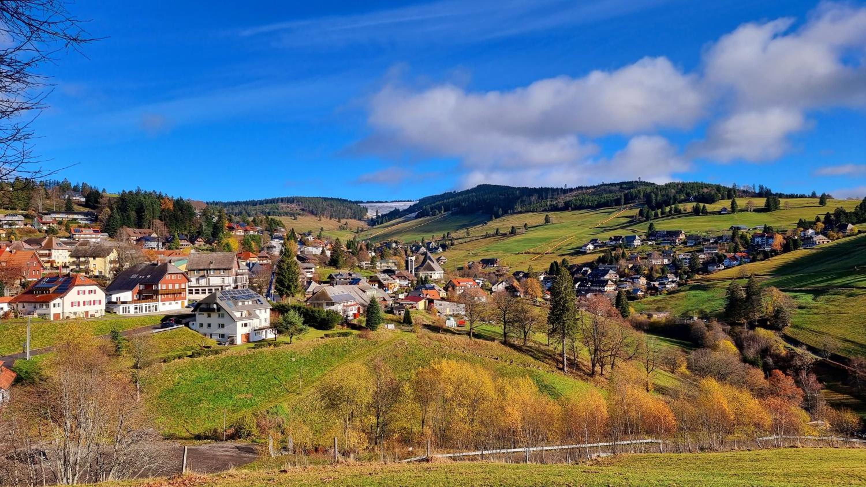 "Schwarzwaldblick" Ferienwohnung 2-4 Pers 65qm, schöne ruhige Südhanglage mit herrl Aussicht view 4