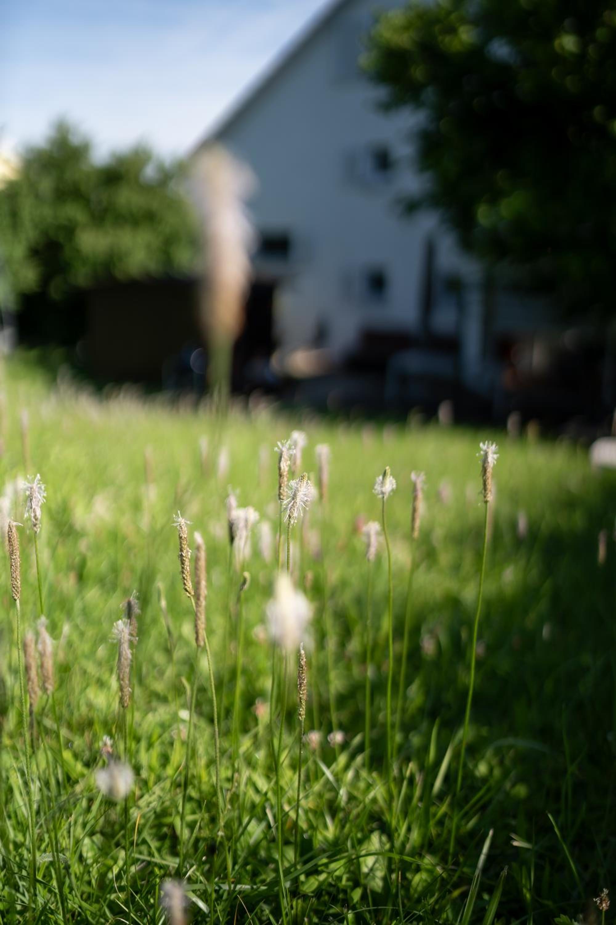 Secret Garden
