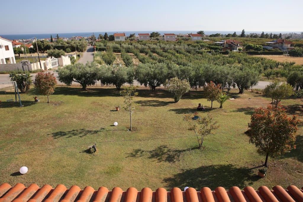 Dafne's Retreat by Booking Kottas