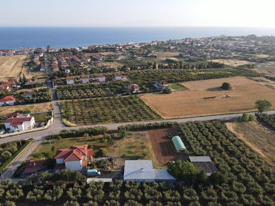 Dafne's Retreat by Booking Kottas