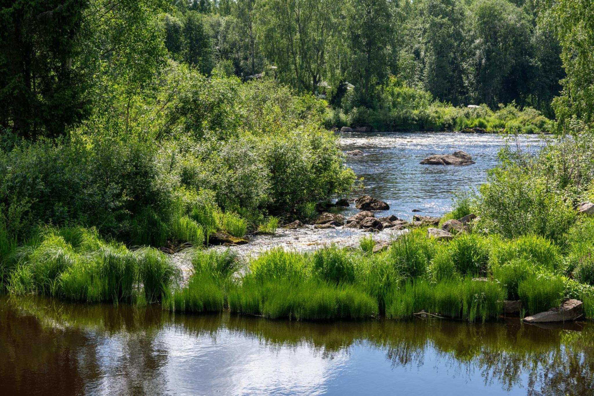 Myllytupa
