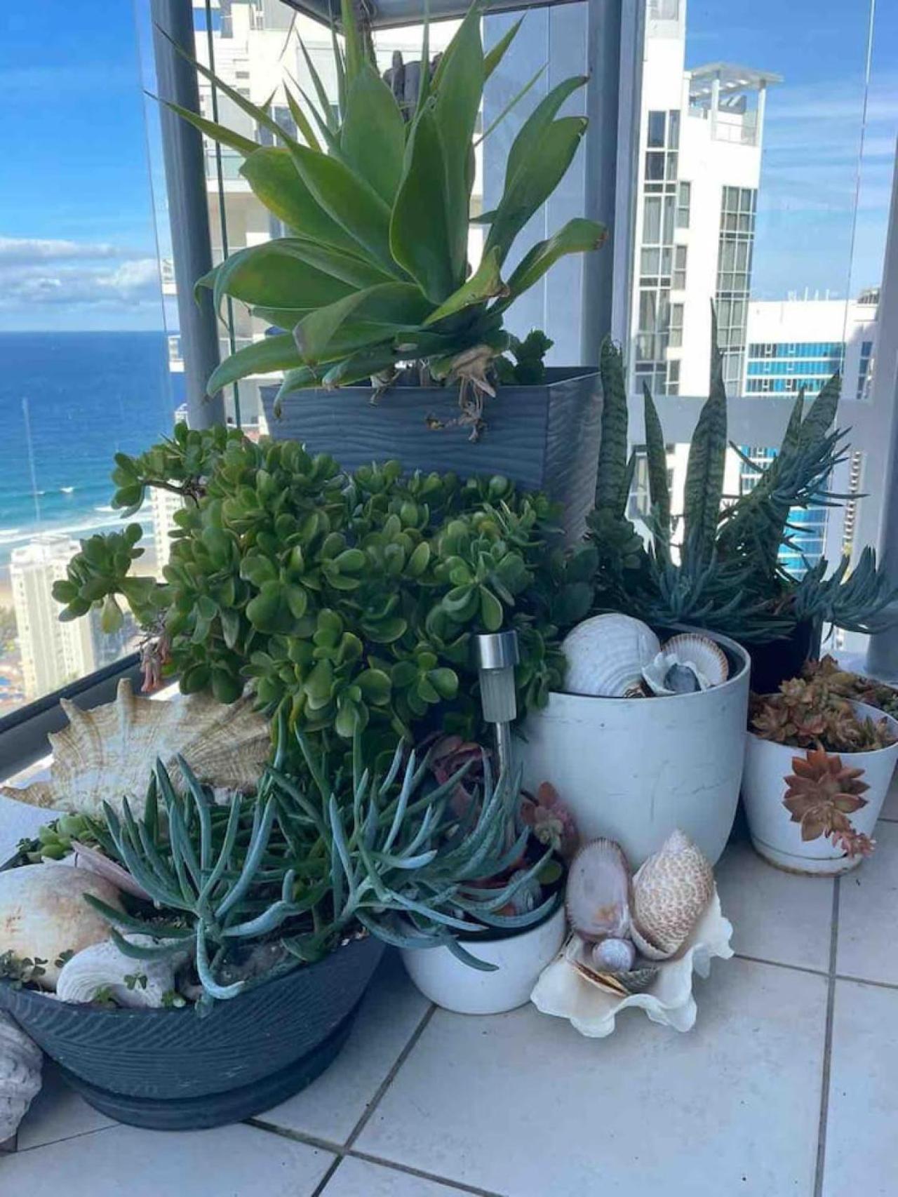 NOTINUSEOceanview Luxury Level 36 Couple Oasis