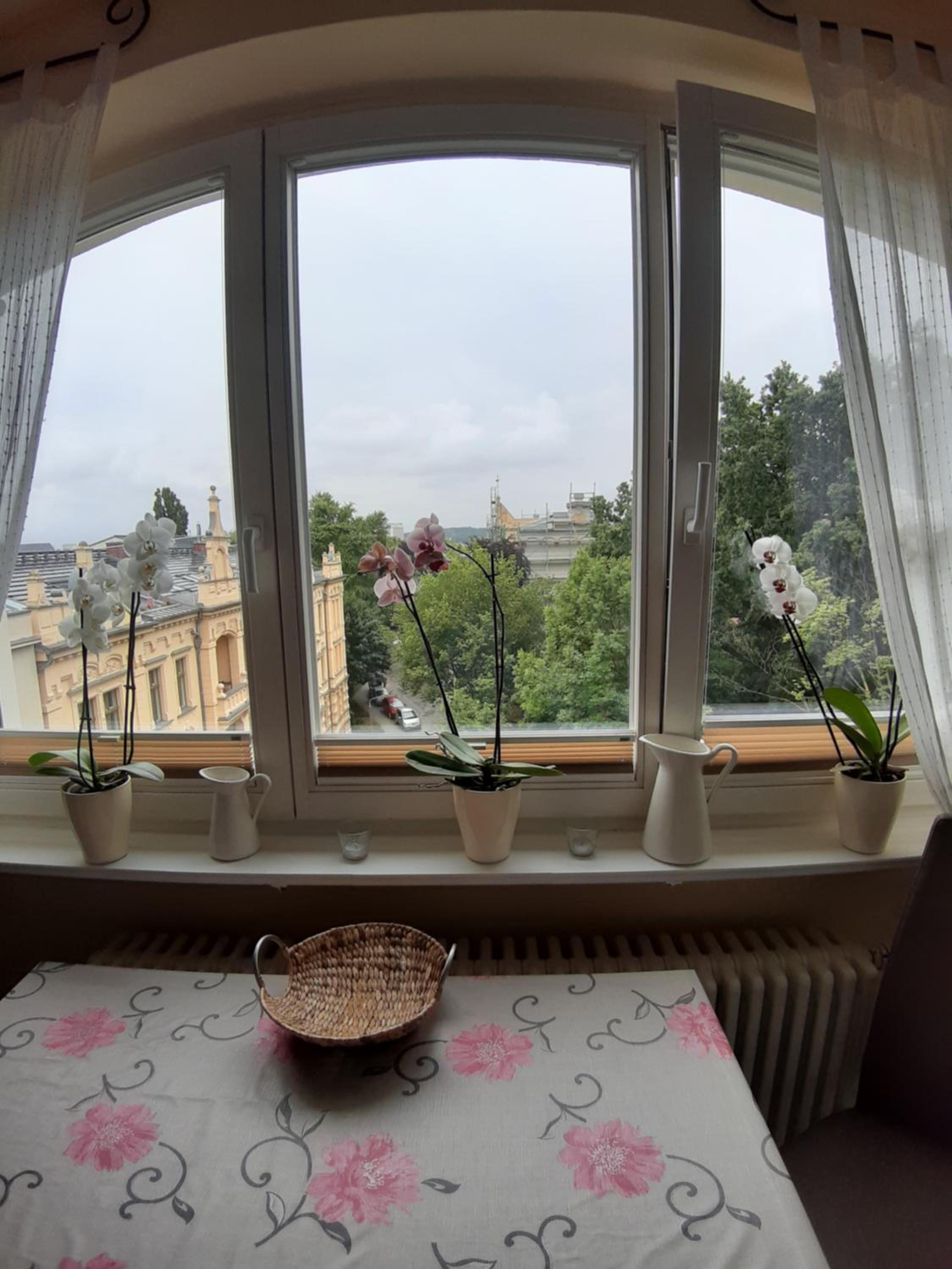 Wohnung mit Blick über Potsdam view 3
