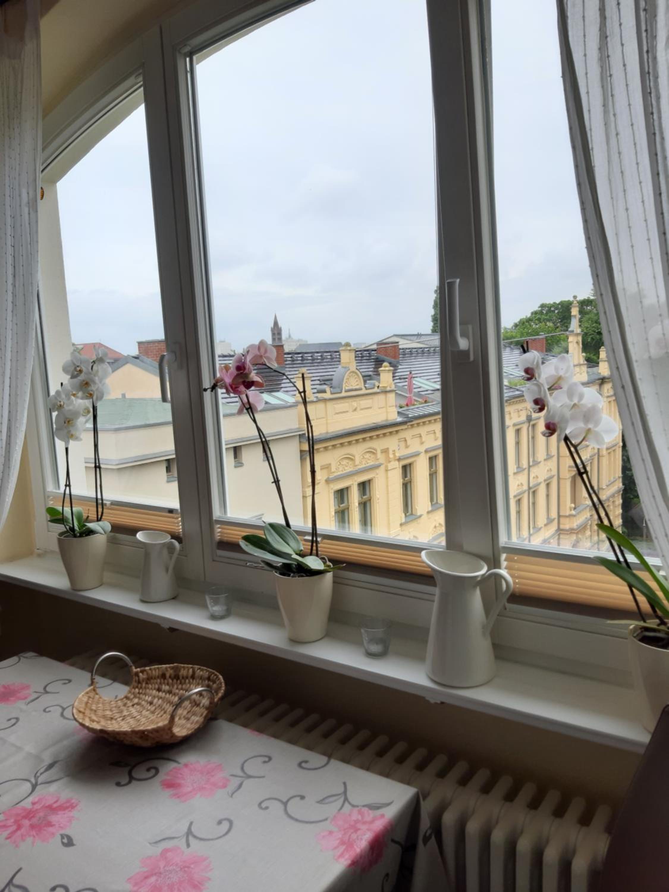 Wohnung mit Blick über Potsdam view 4