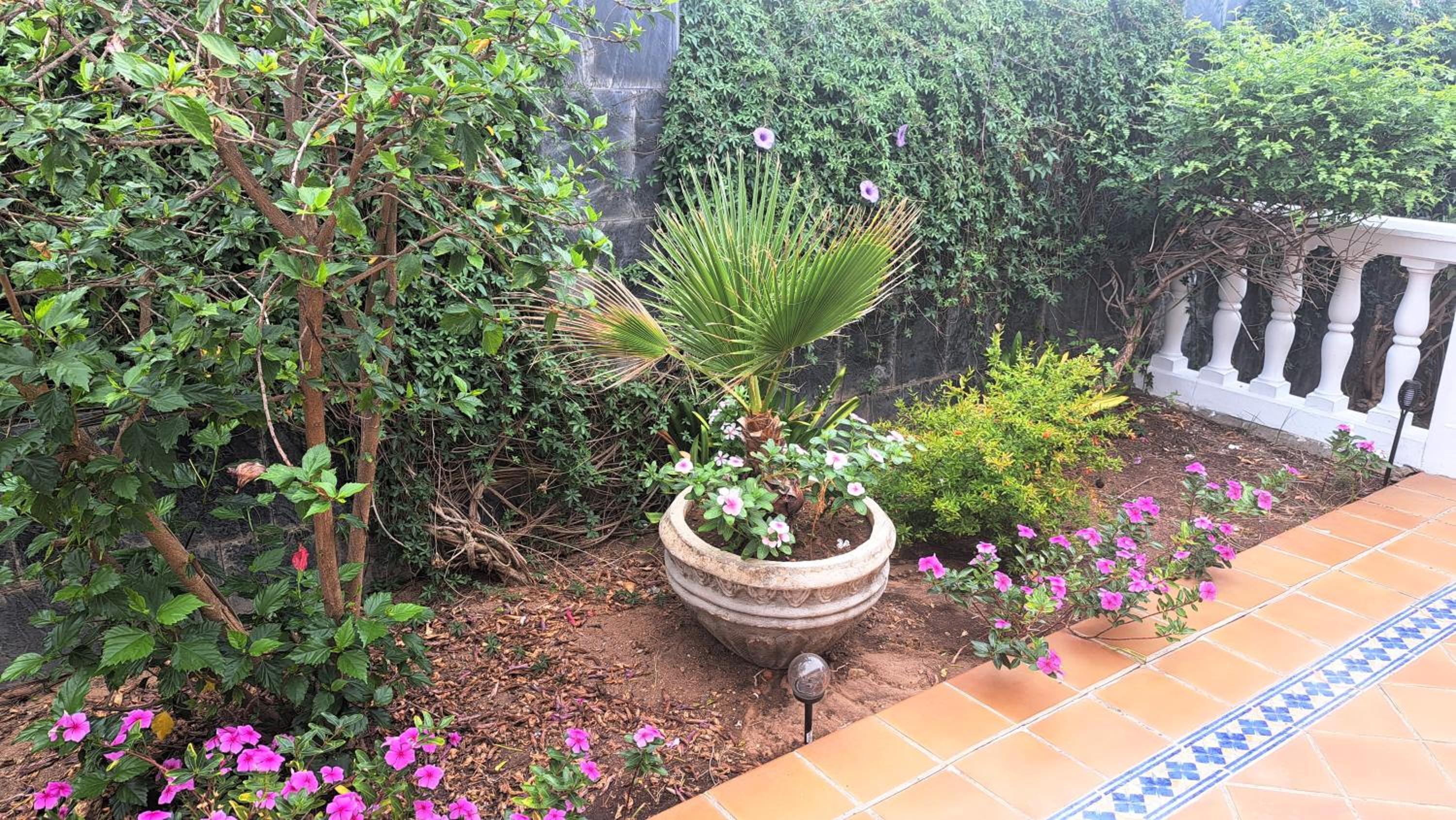 Sevilla, Casa Rural Villa Amalia