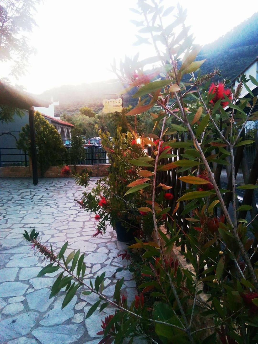 Photo 37