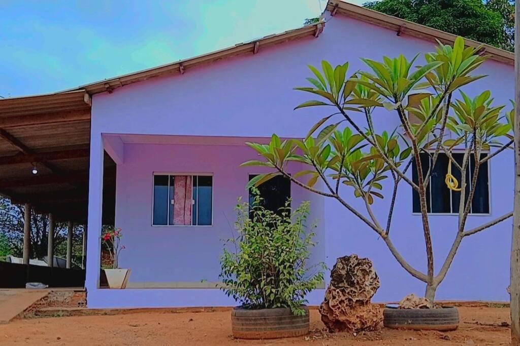 Casa flôr de lavanda