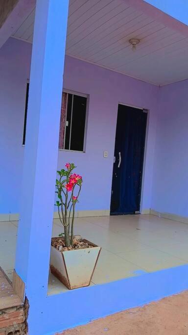 Casa flôr de lavanda