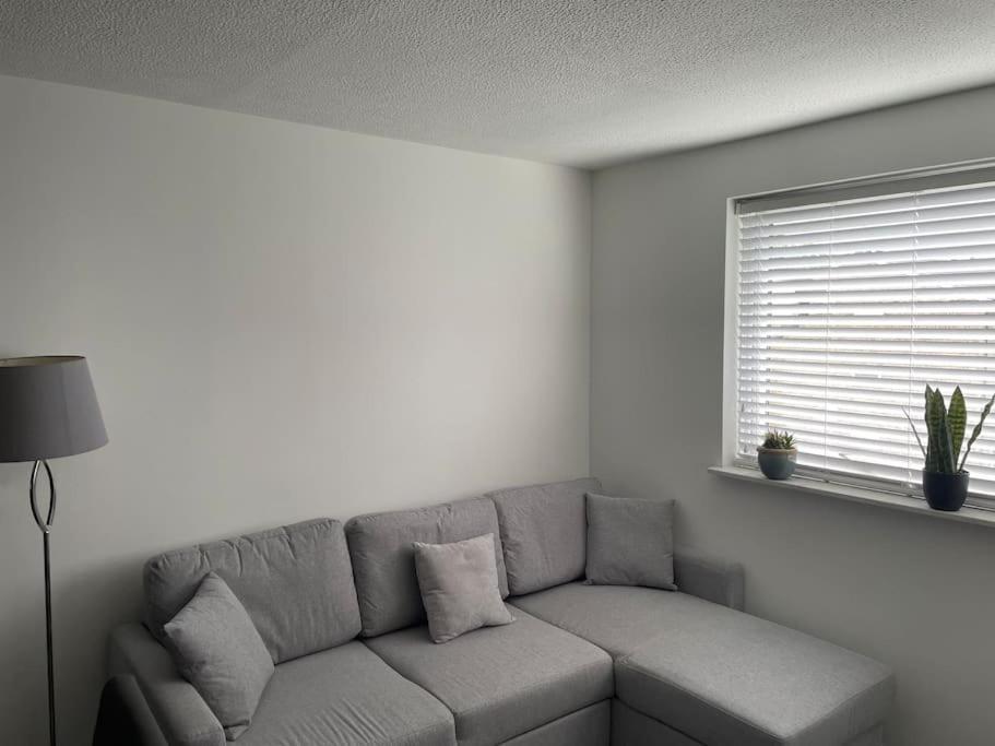 Lovely 1-bedroom apartment in London