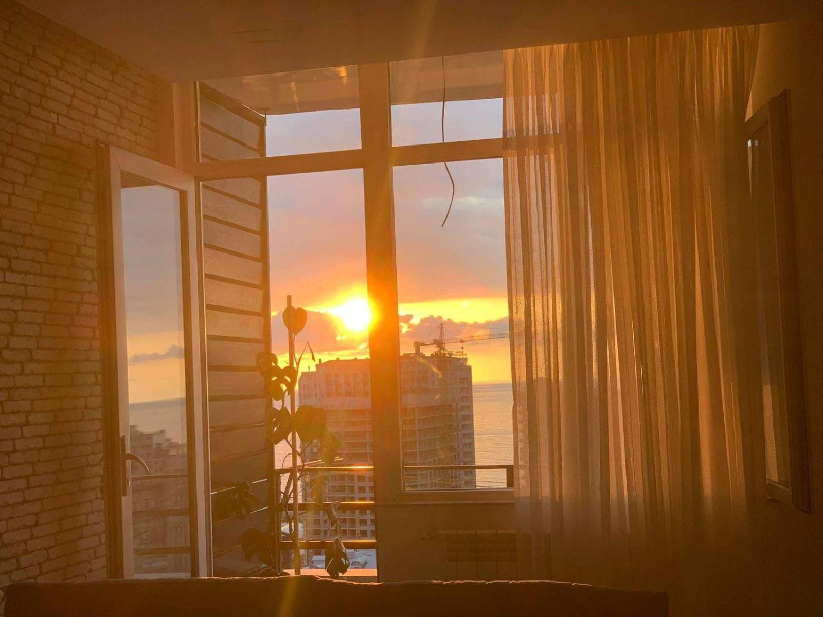 any-home view 2