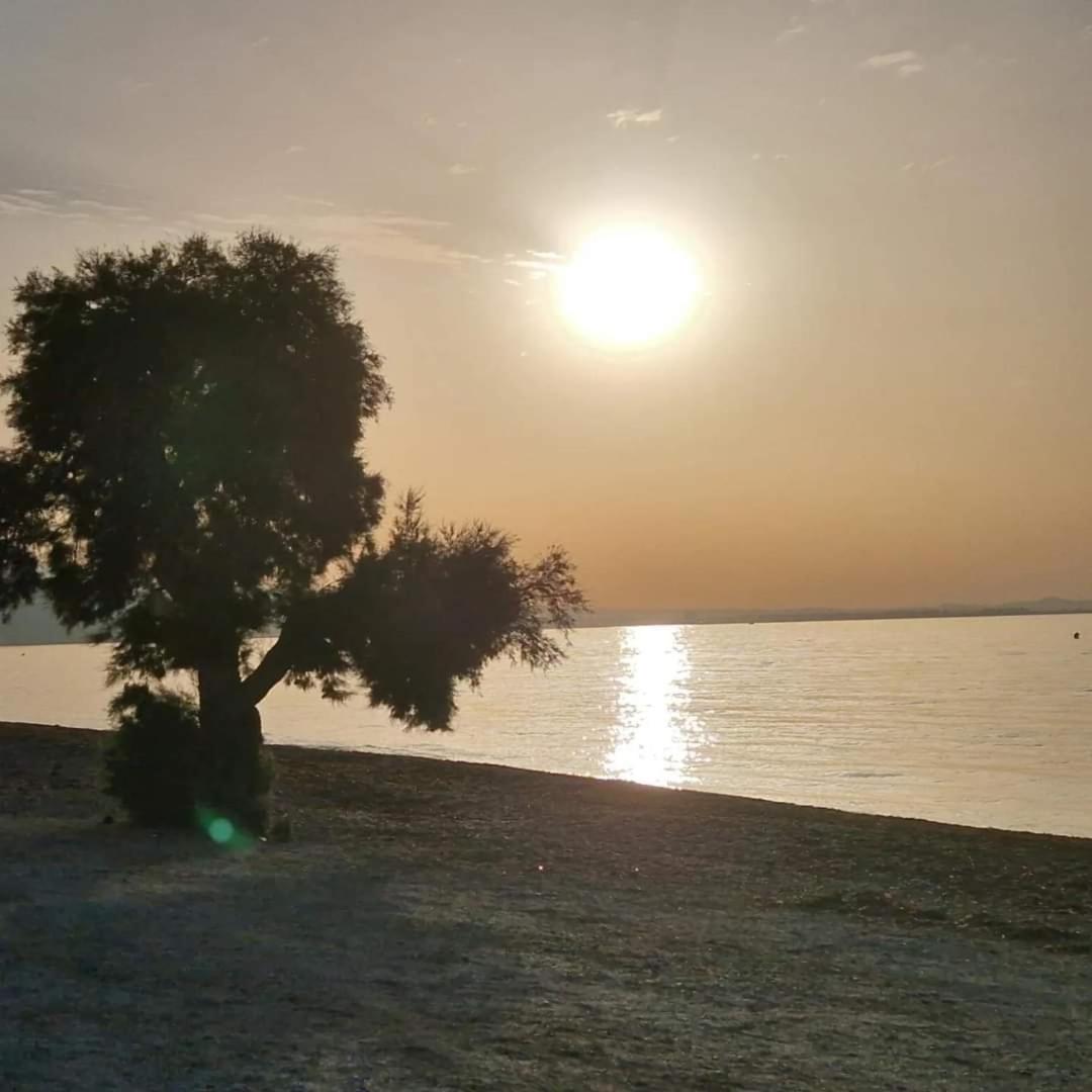 Villa Taray