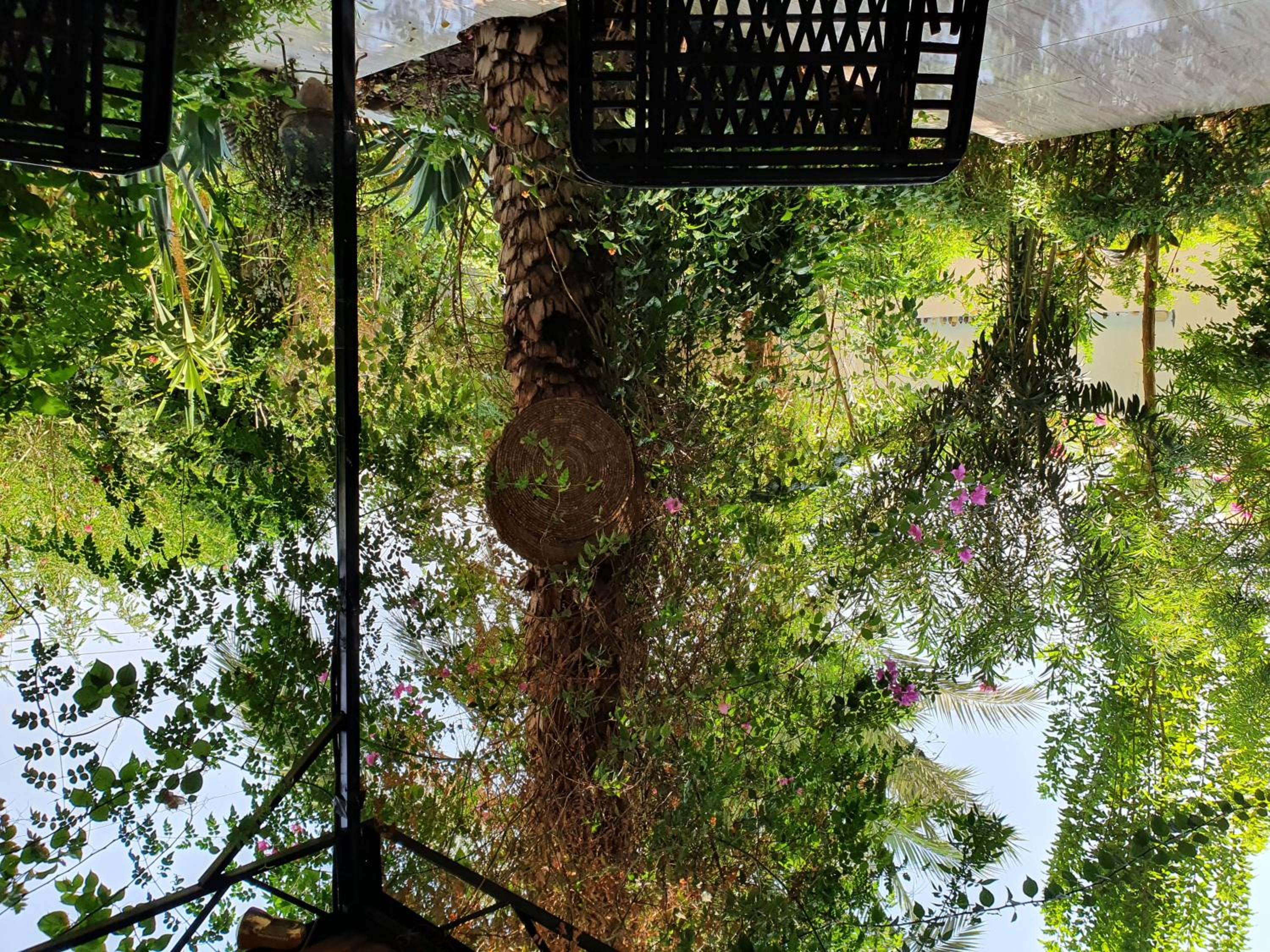 Teba House