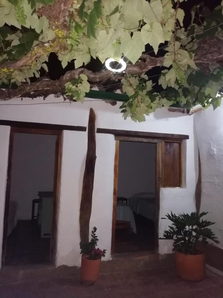 Casa Luz