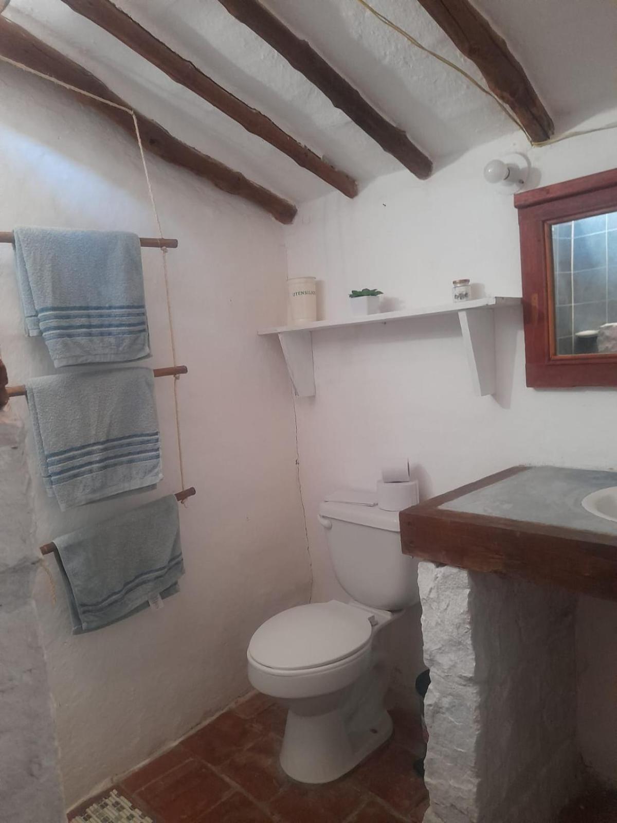Casa Luz