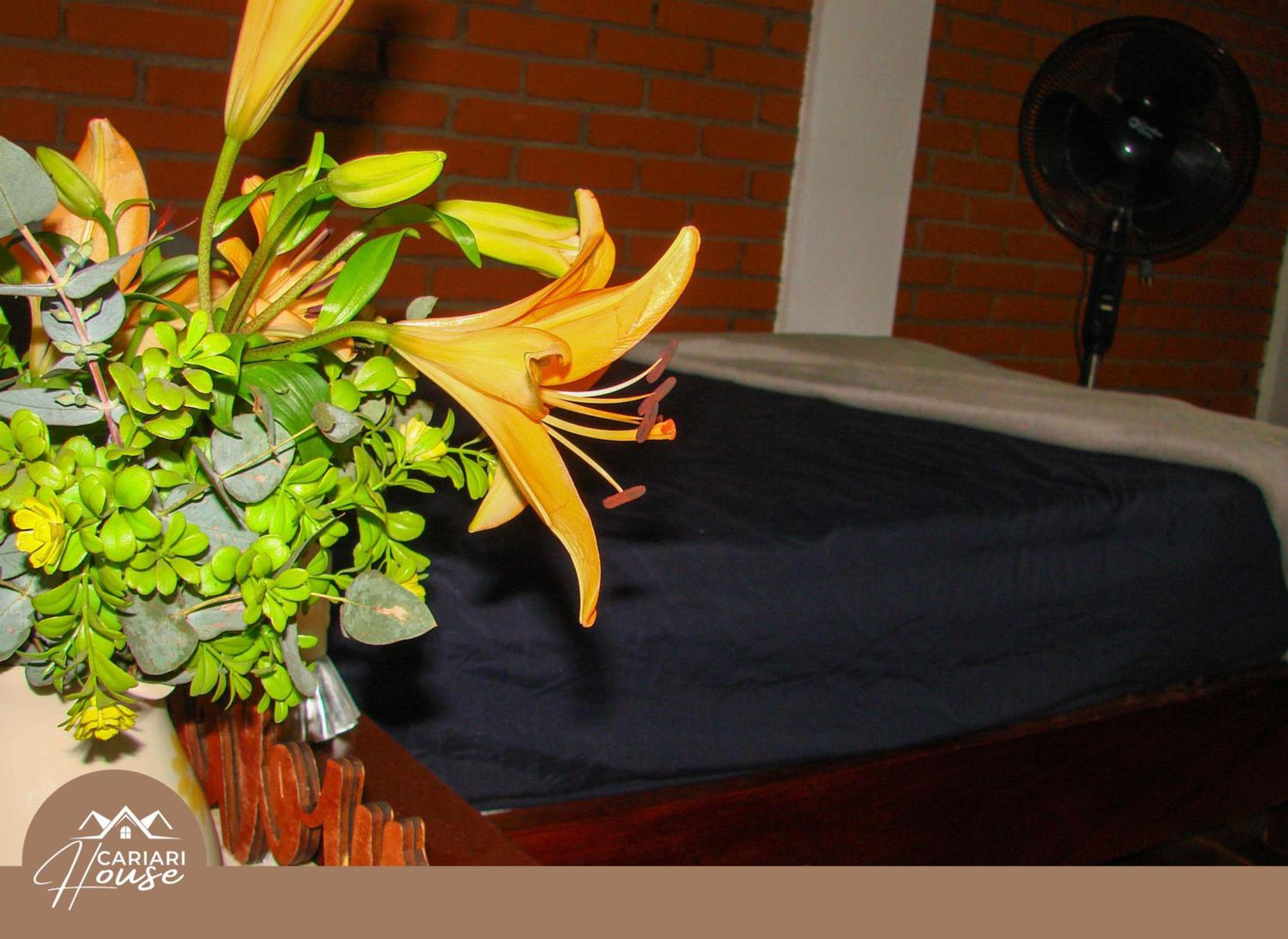 Private rooms, 10 min from SJO Airport