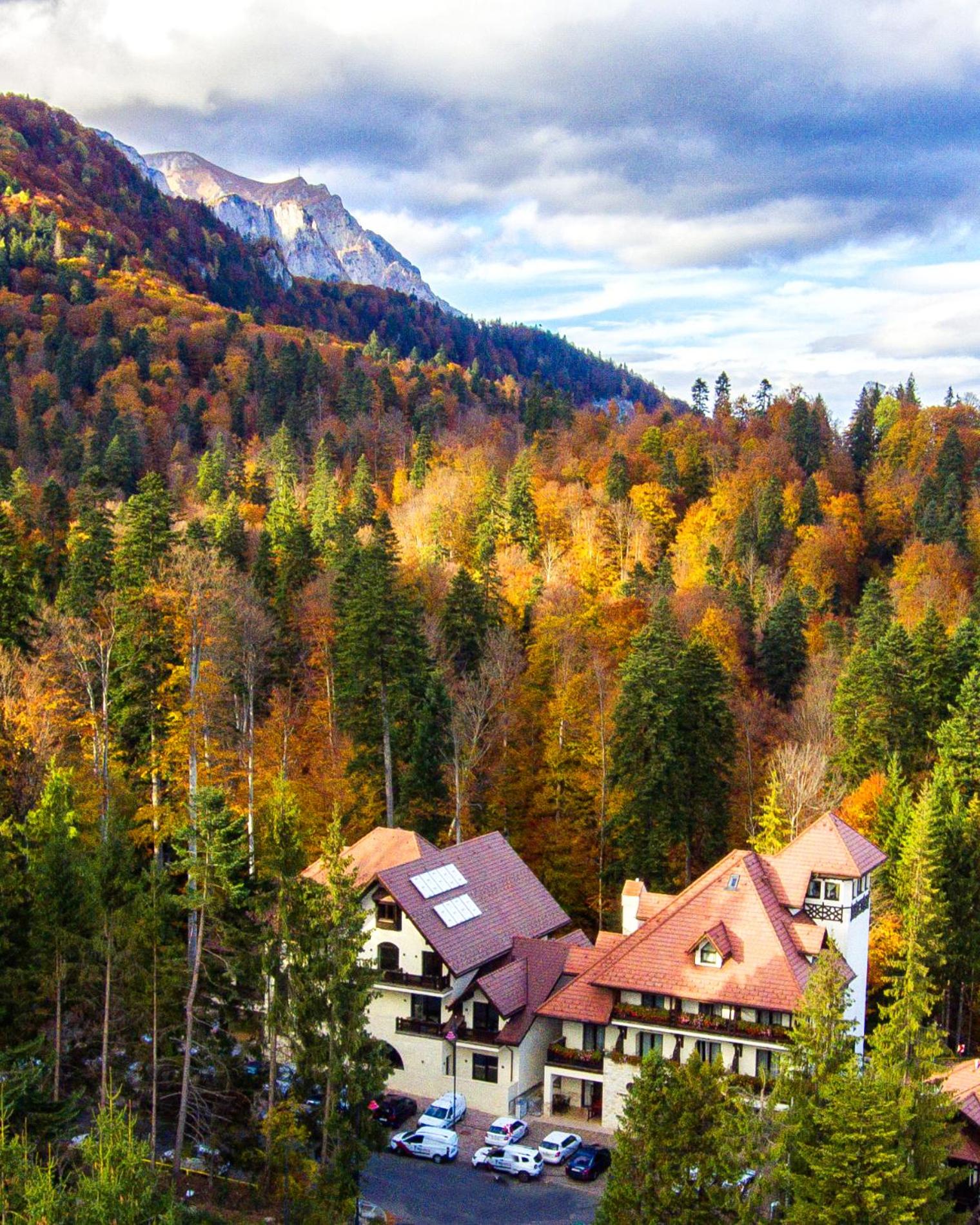 Hotel Foisorul cu Flori Leisure & SPA - Image 1