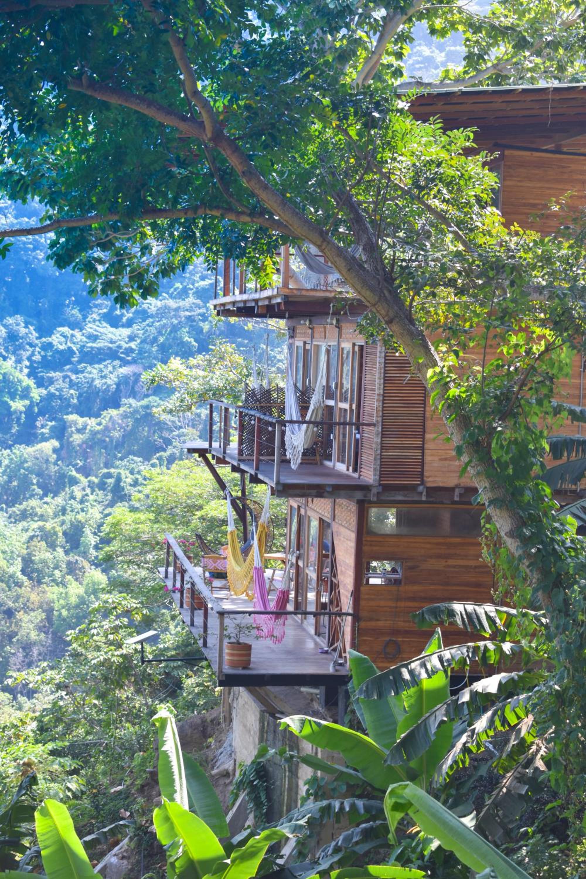 Paraiso Ahimsa