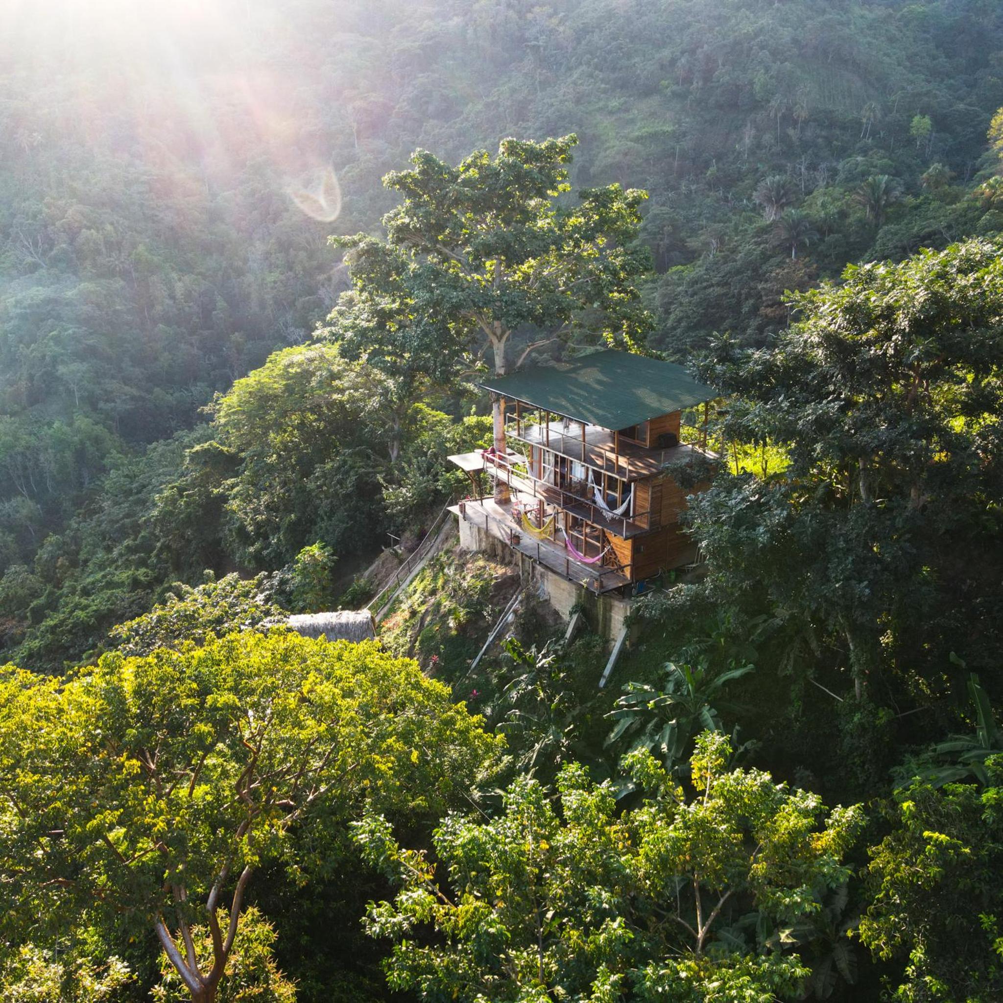 Paraiso Ahimsa