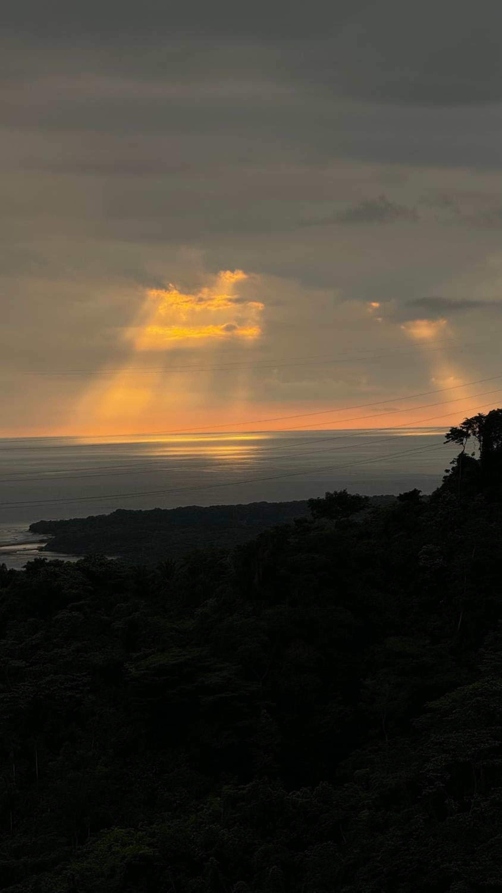 Paraiso Ahimsa