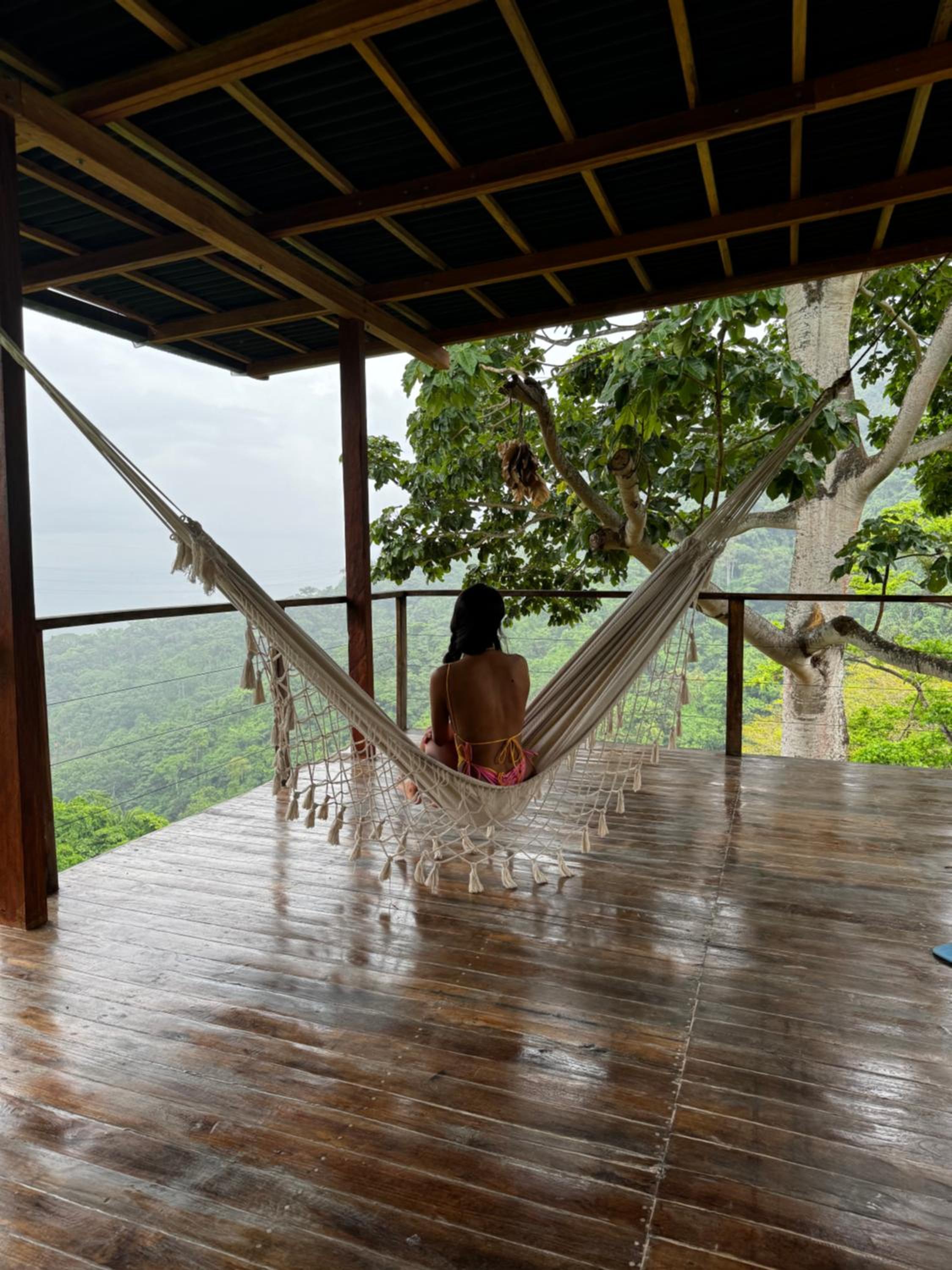 Paraiso Ahimsa