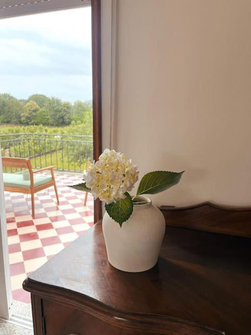 Souto Guimarães Country House