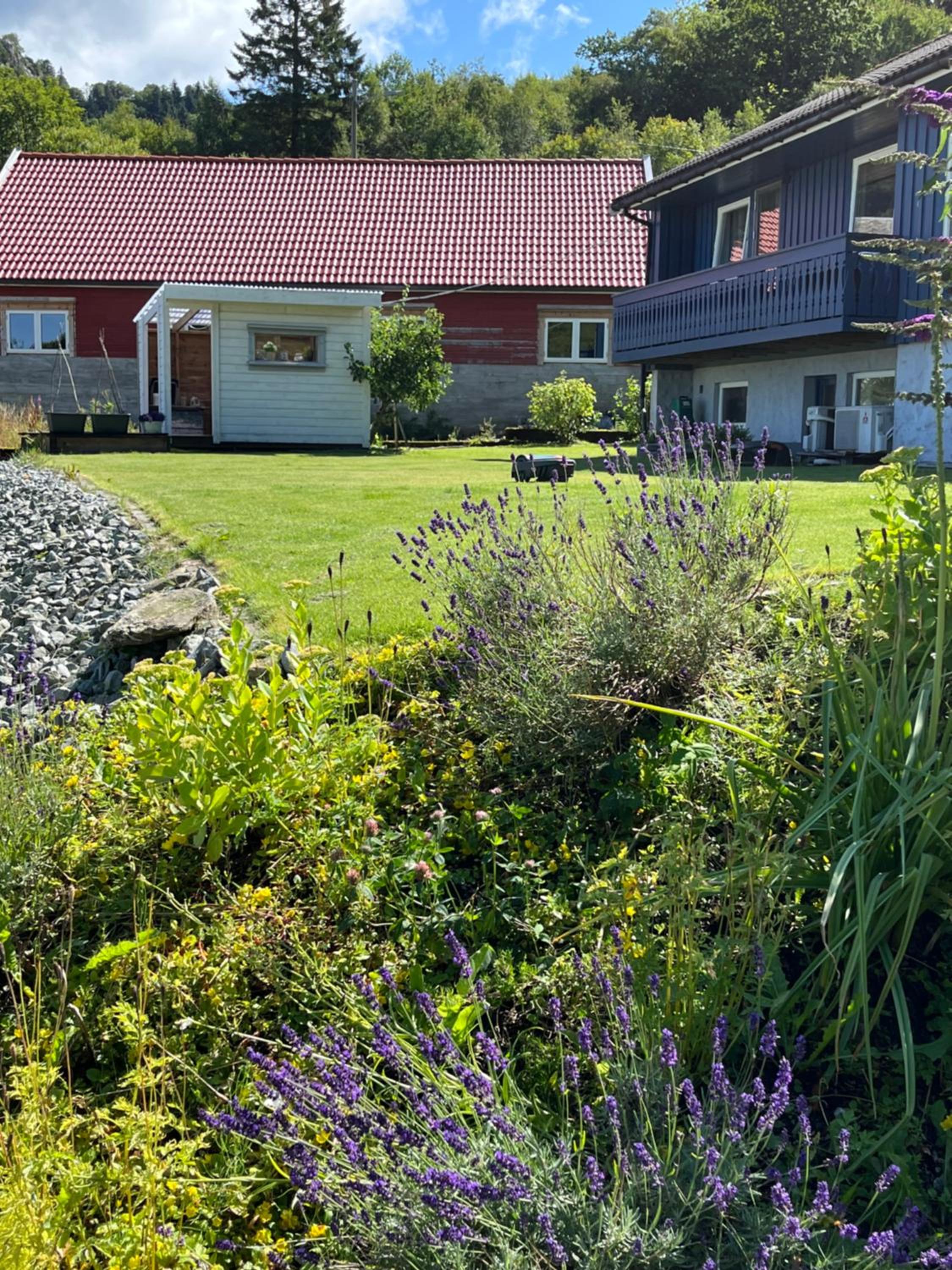 Kjølevik