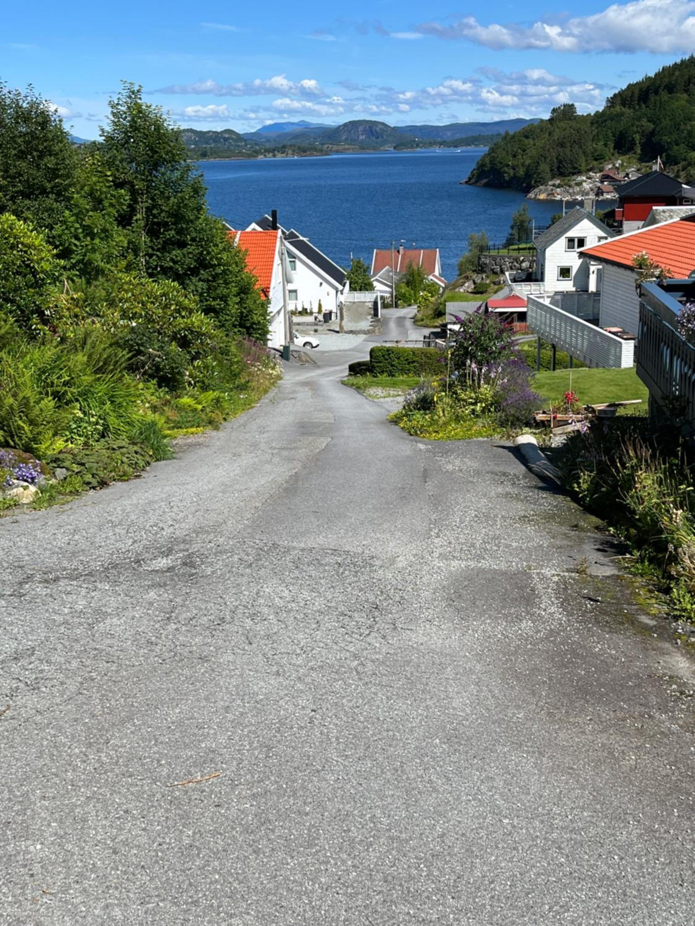 Kjølevik