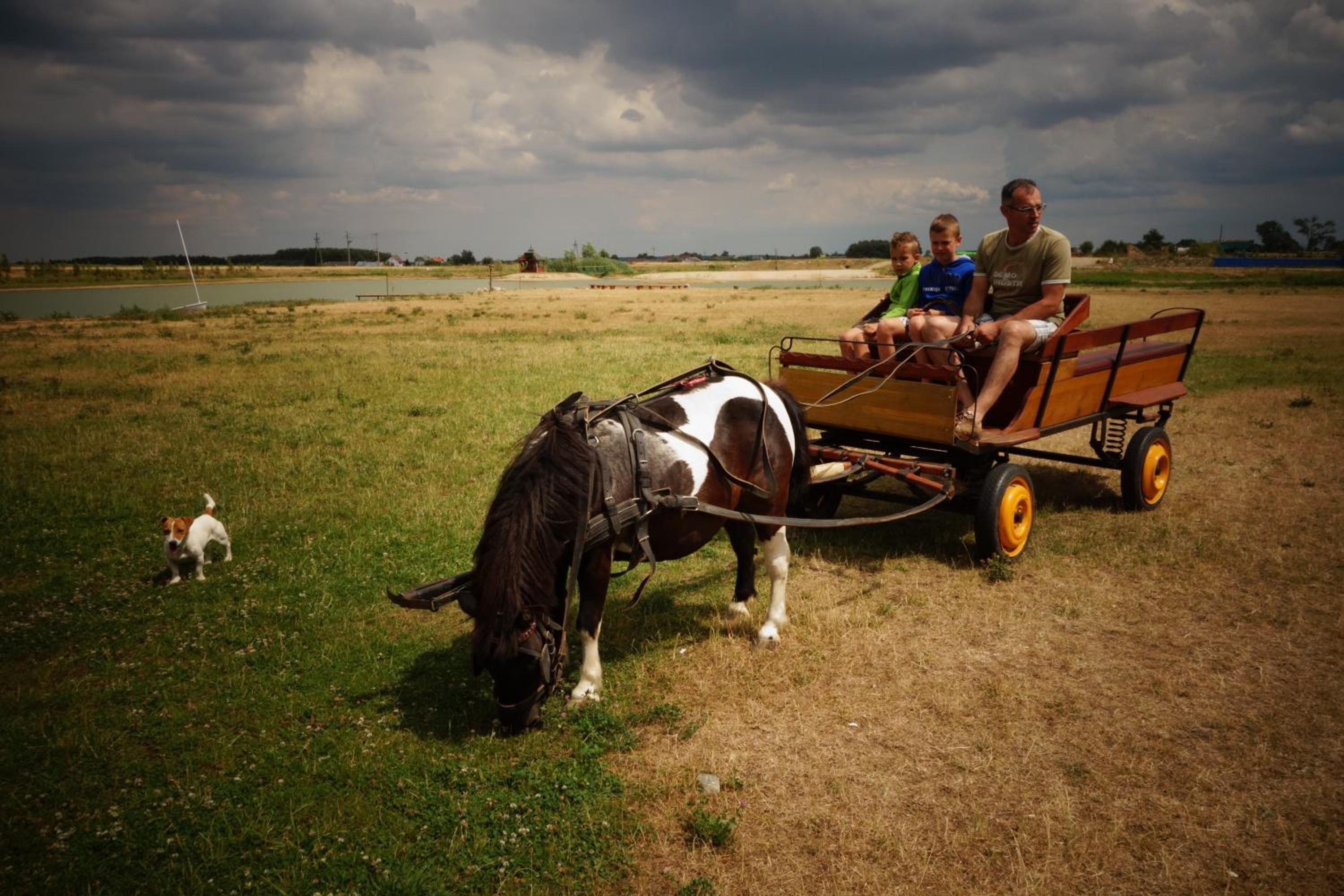 Agroturystyka Żabi Raj Serock - Pułtusk, Foto 47
