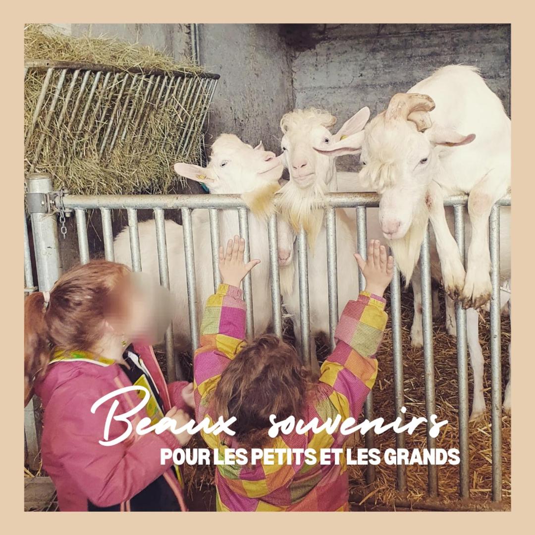 La Ferme du Solvat