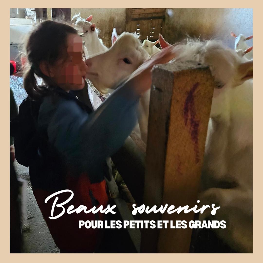 La Ferme du Solvat