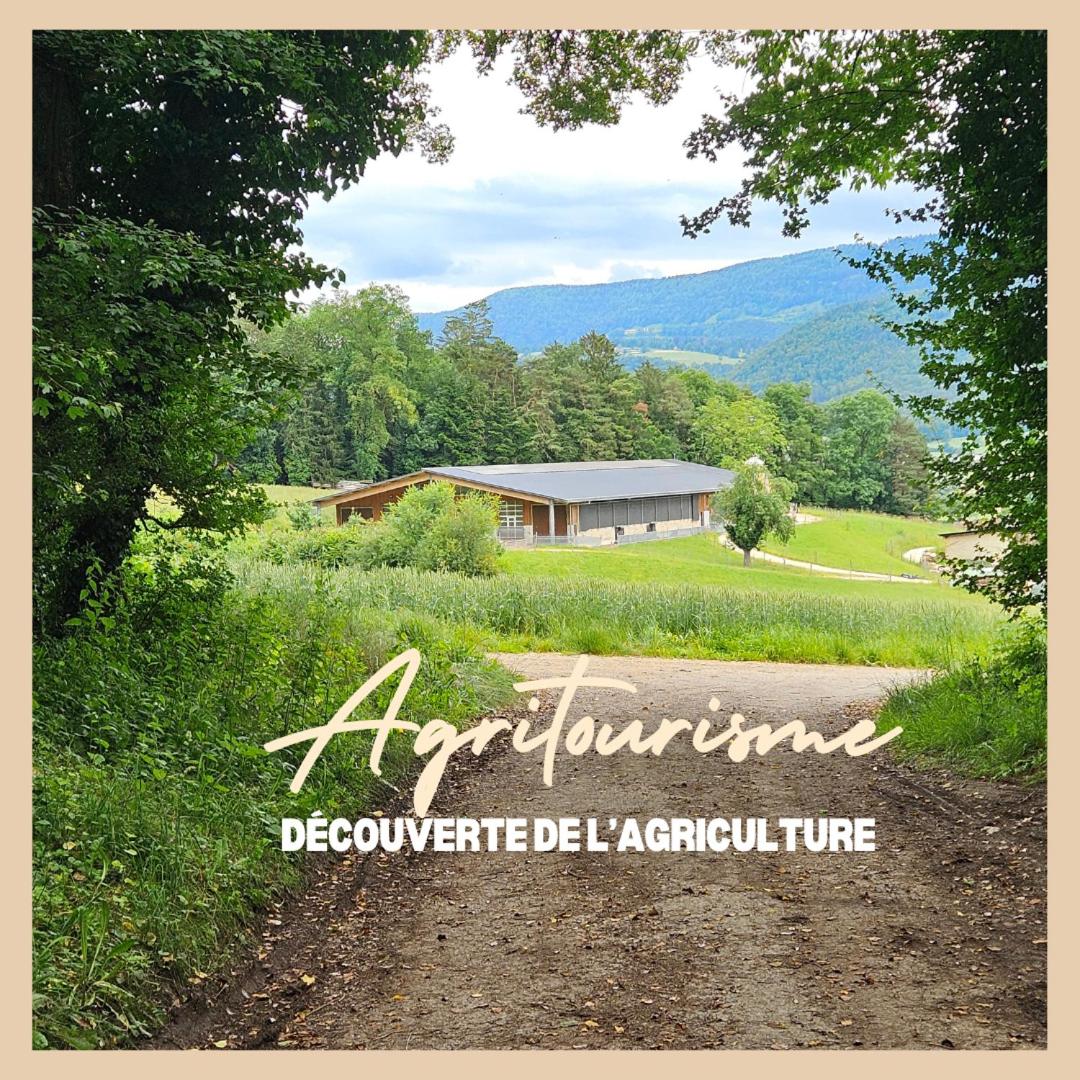 La Ferme du Solvat